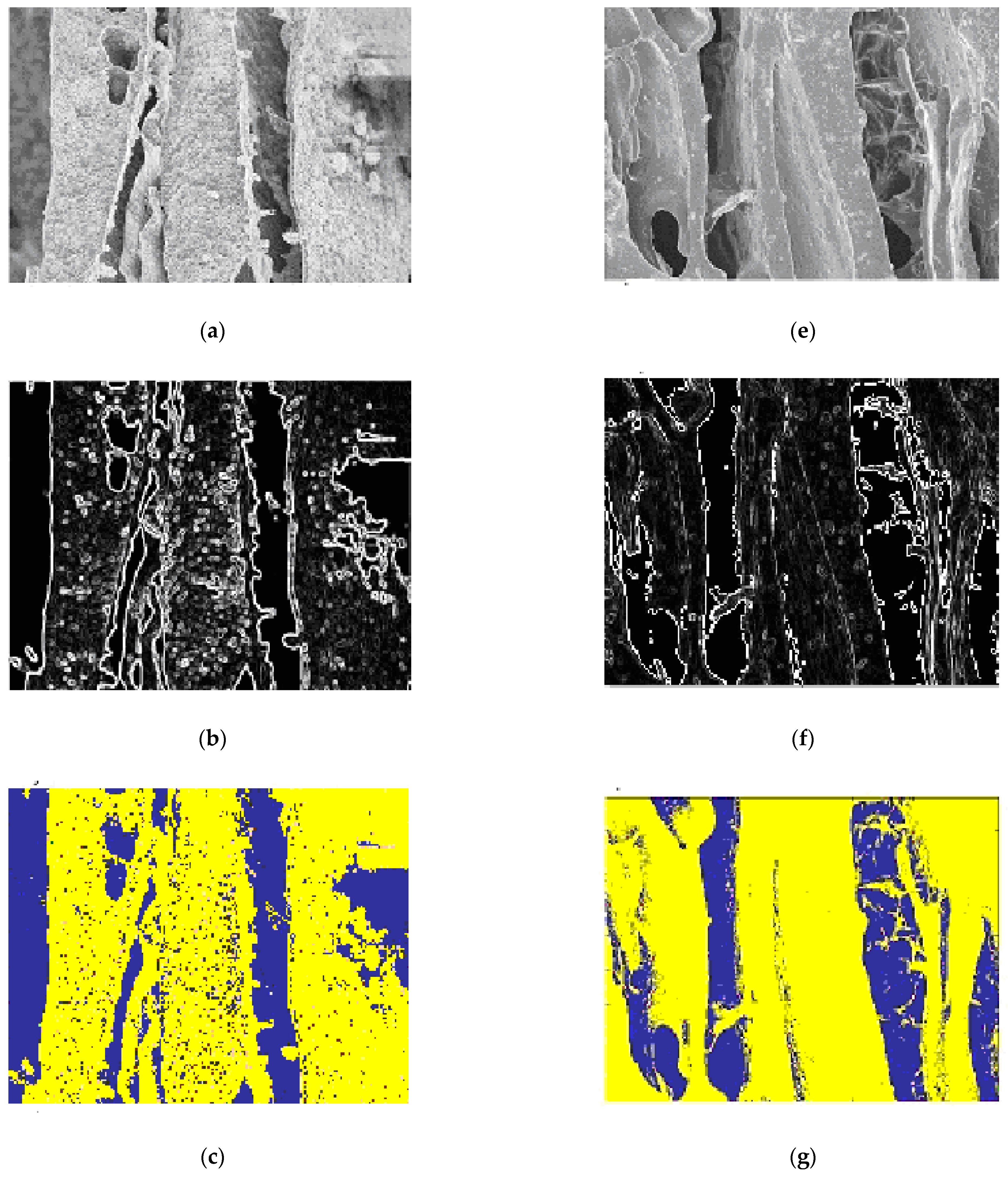 Membranes 11 00303 g011a Membranes 11 00303 g011a