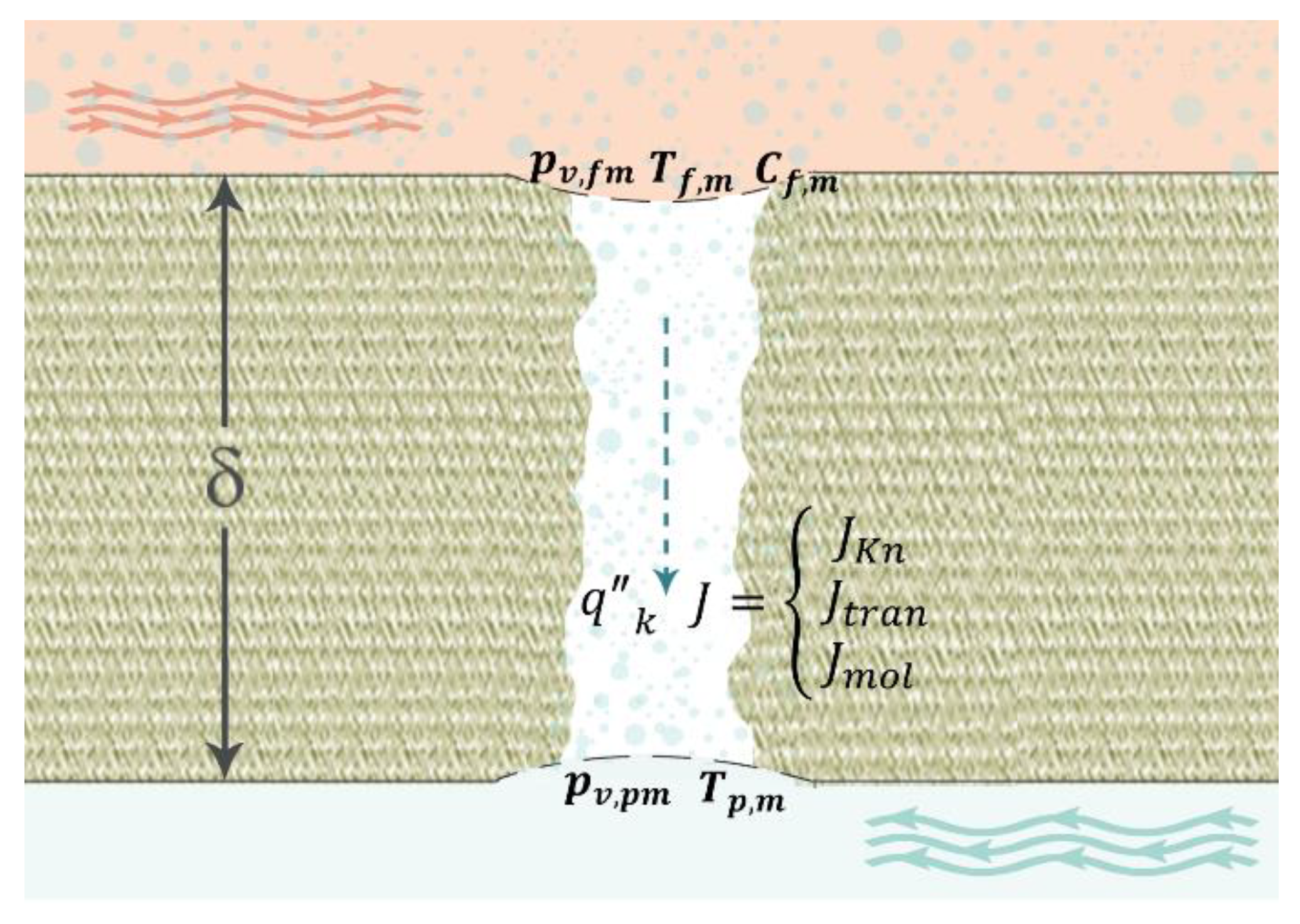 Membranes 11 00308 g001