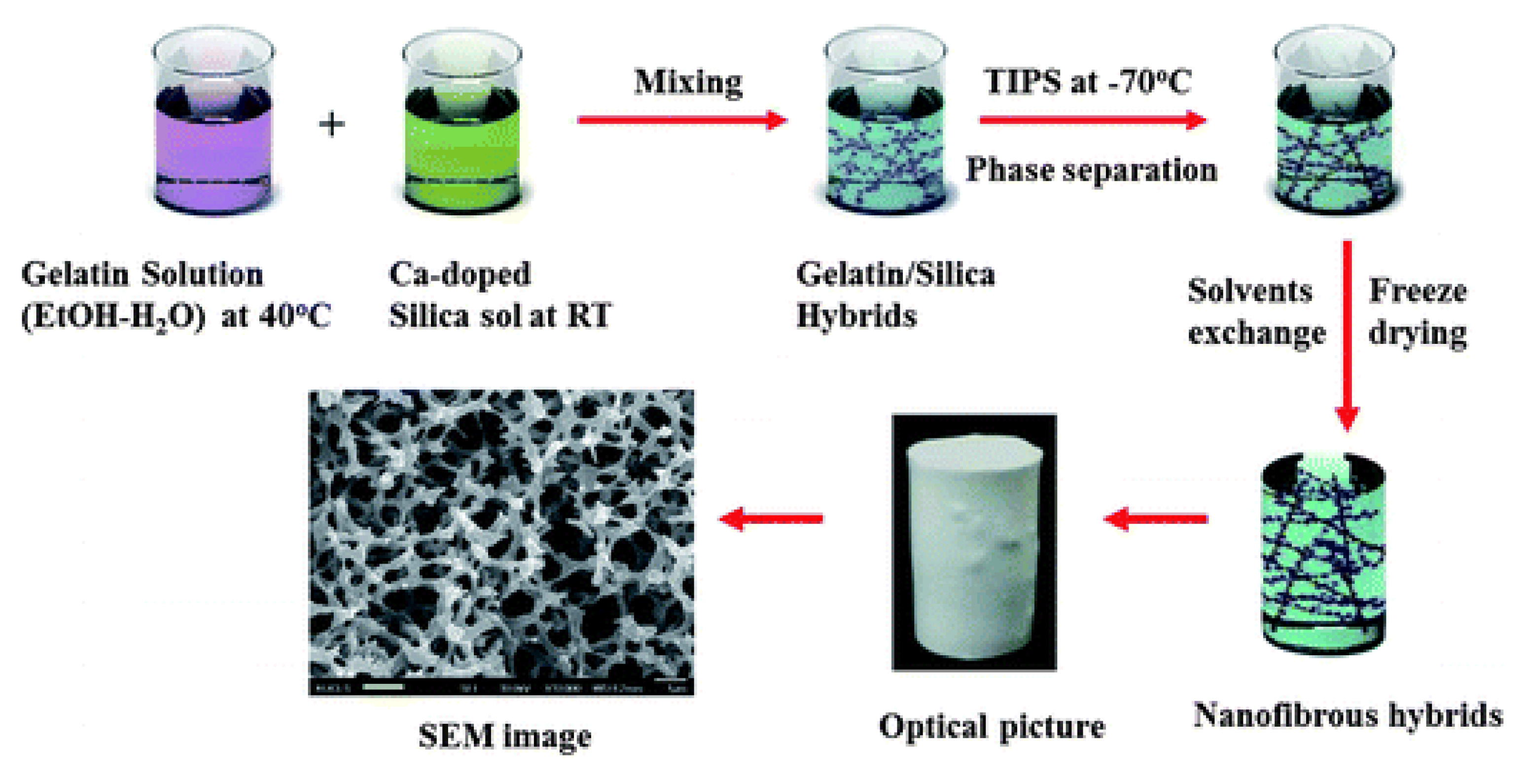 Membranes 11 00309 g003 Membranes 11 00309 g003