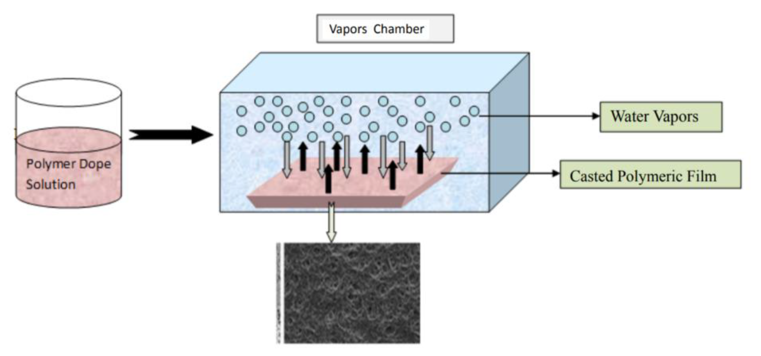 Membranes 11 00309 g004 Membranes 11 00309 g004