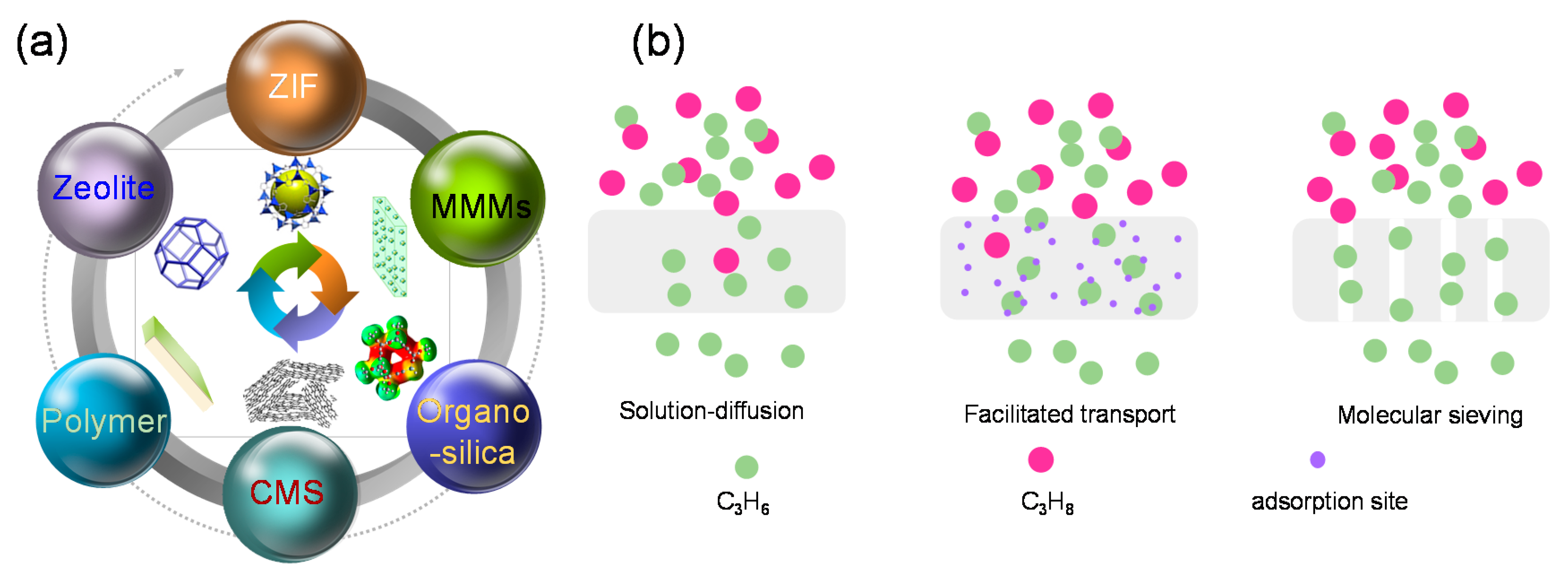 Membranes 11 00310 g001 Membranes 11 00310 g001