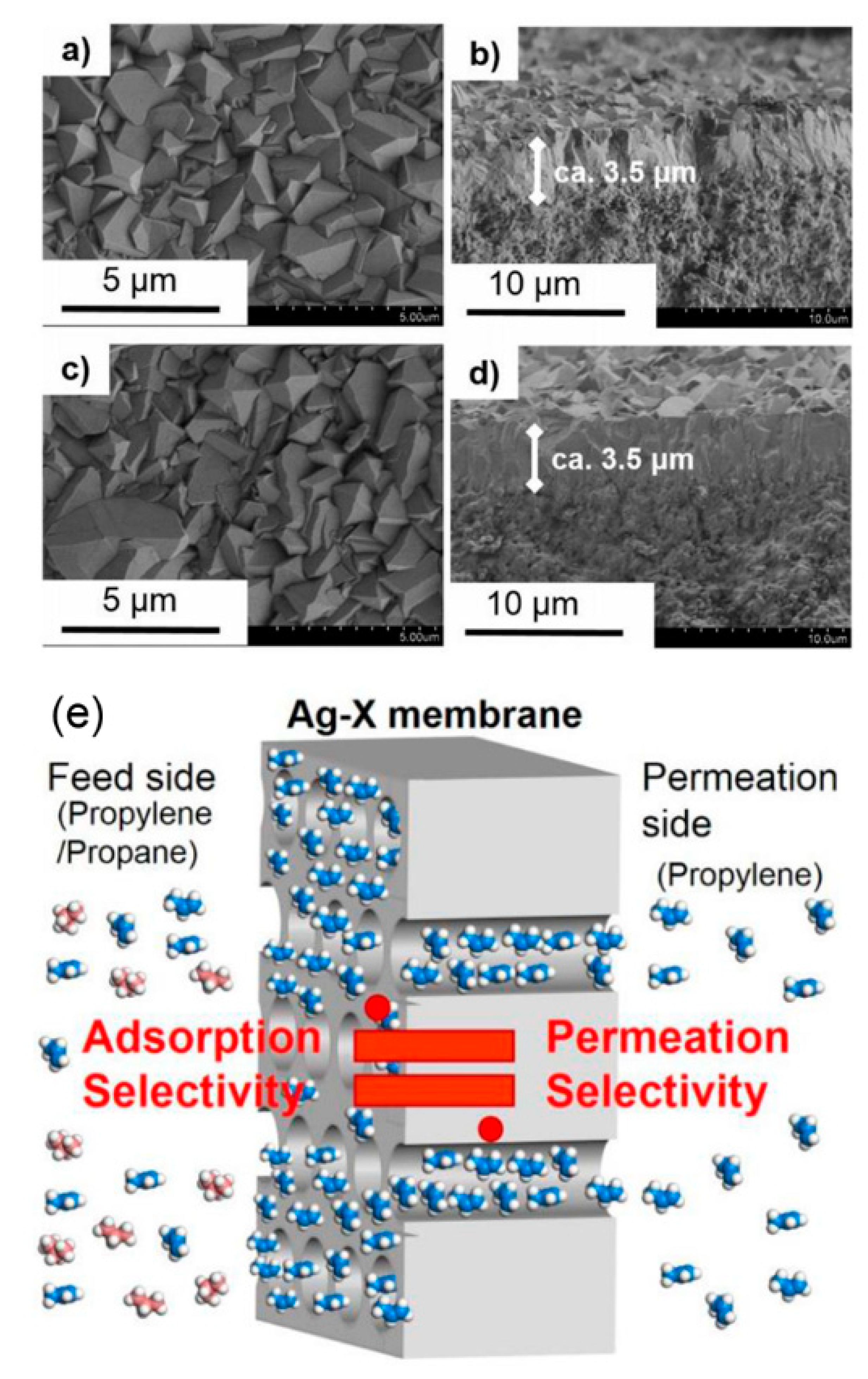 Membranes 11 00310 g004 Membranes 11 00310 g004