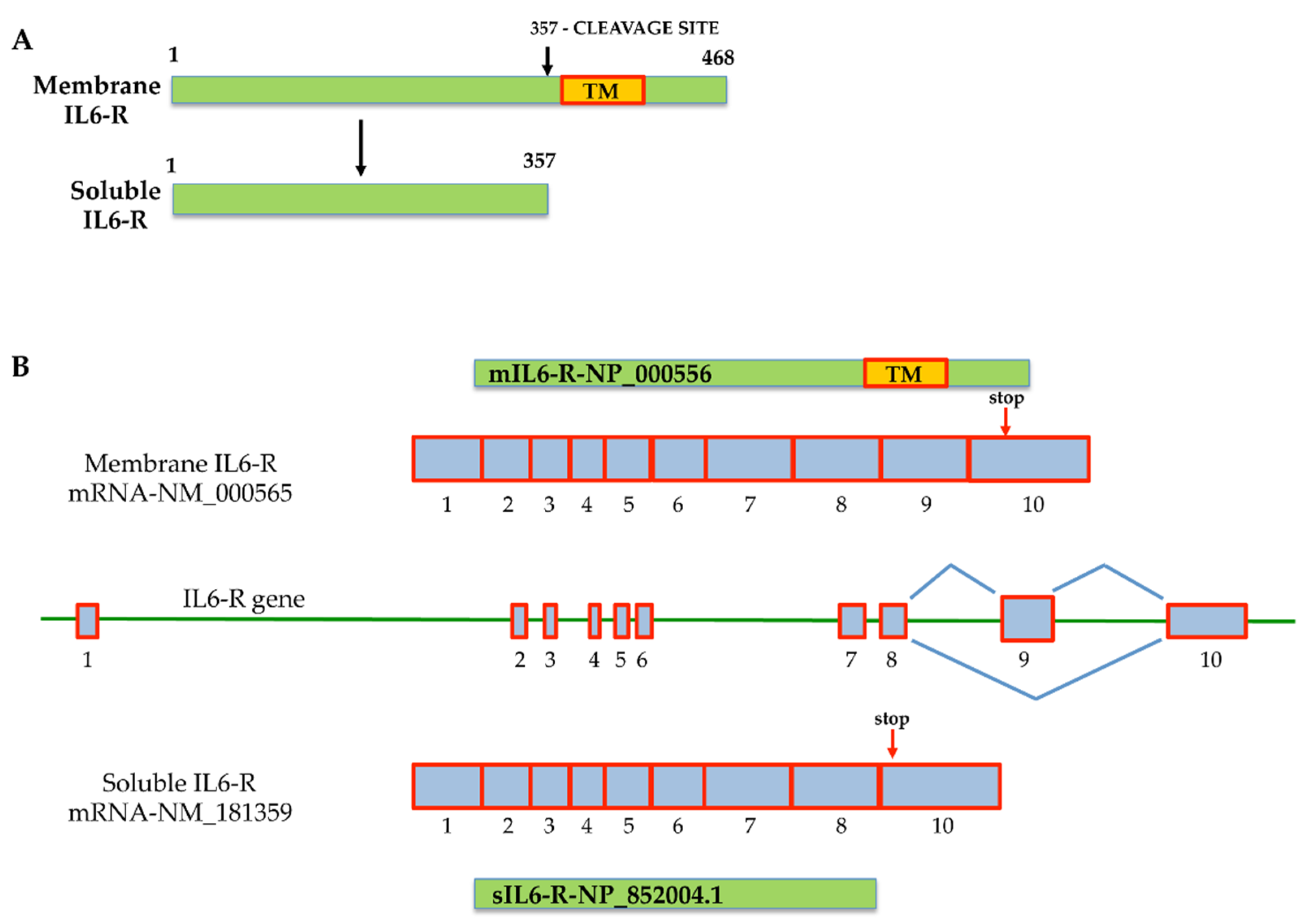 Membranes 11 00312 g001 Membranes 11 00312 g001