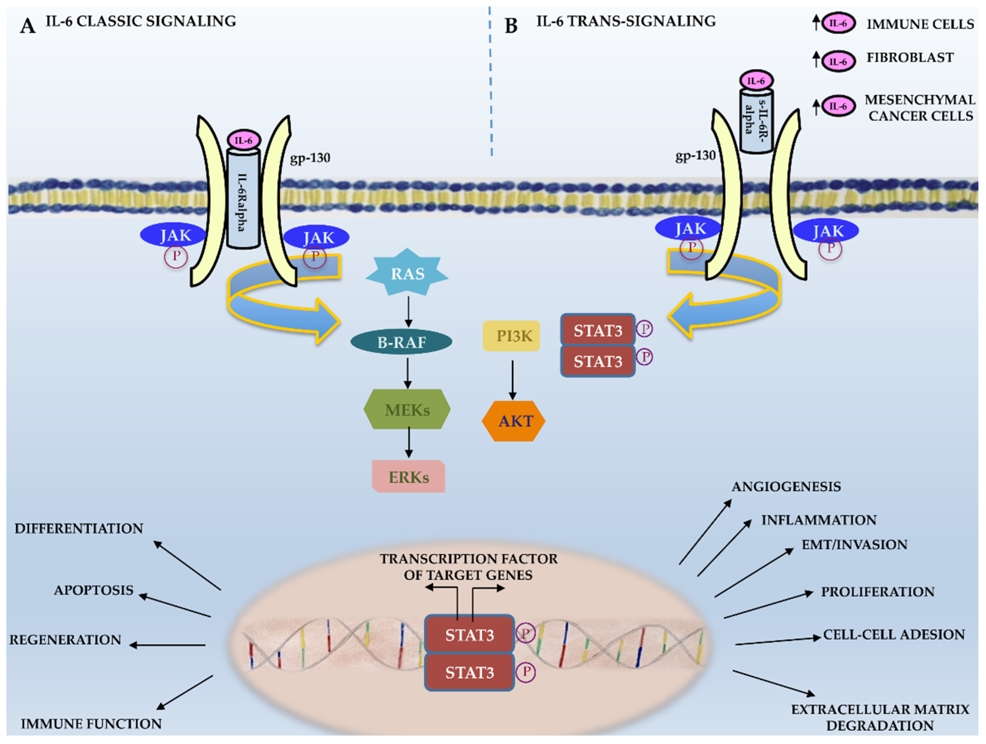 Membranes 11 00312 g002 Membranes 11 00312 g002