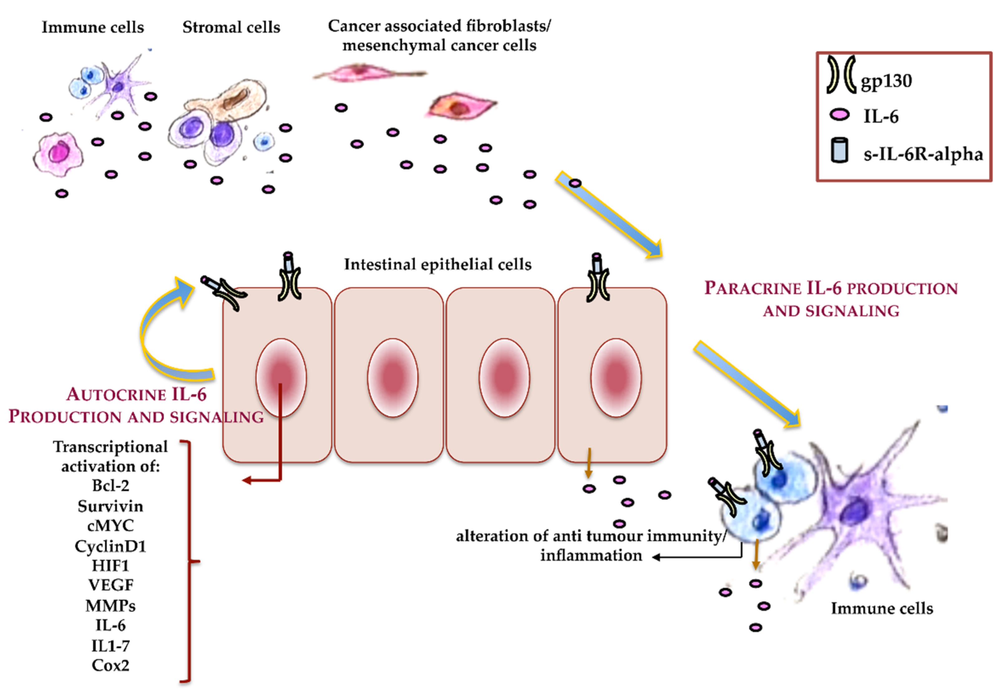 Membranes 11 00312 g003 Membranes 11 00312 g003