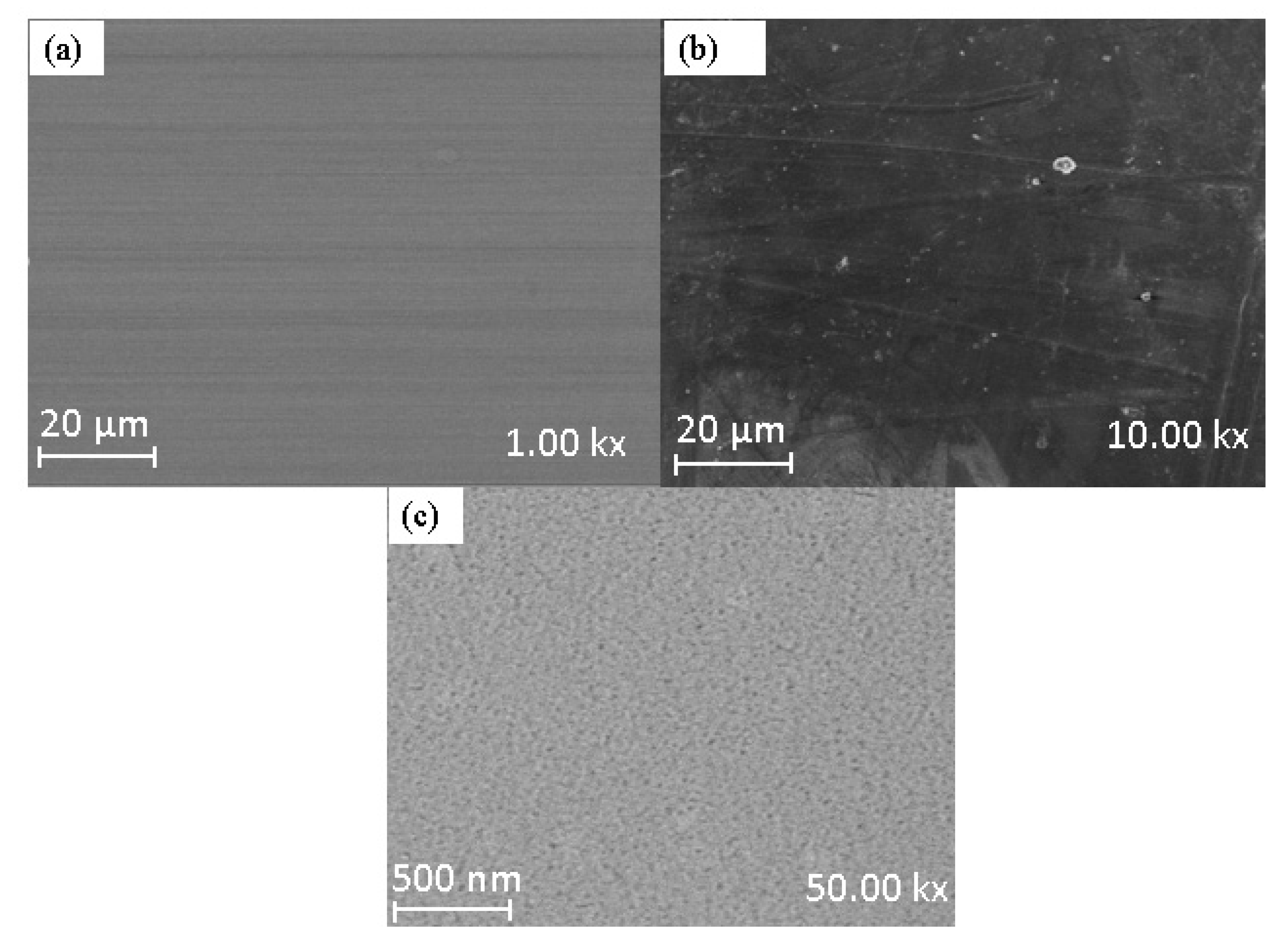 Membranes 11 00315 g005 Membranes 11 00315 g005