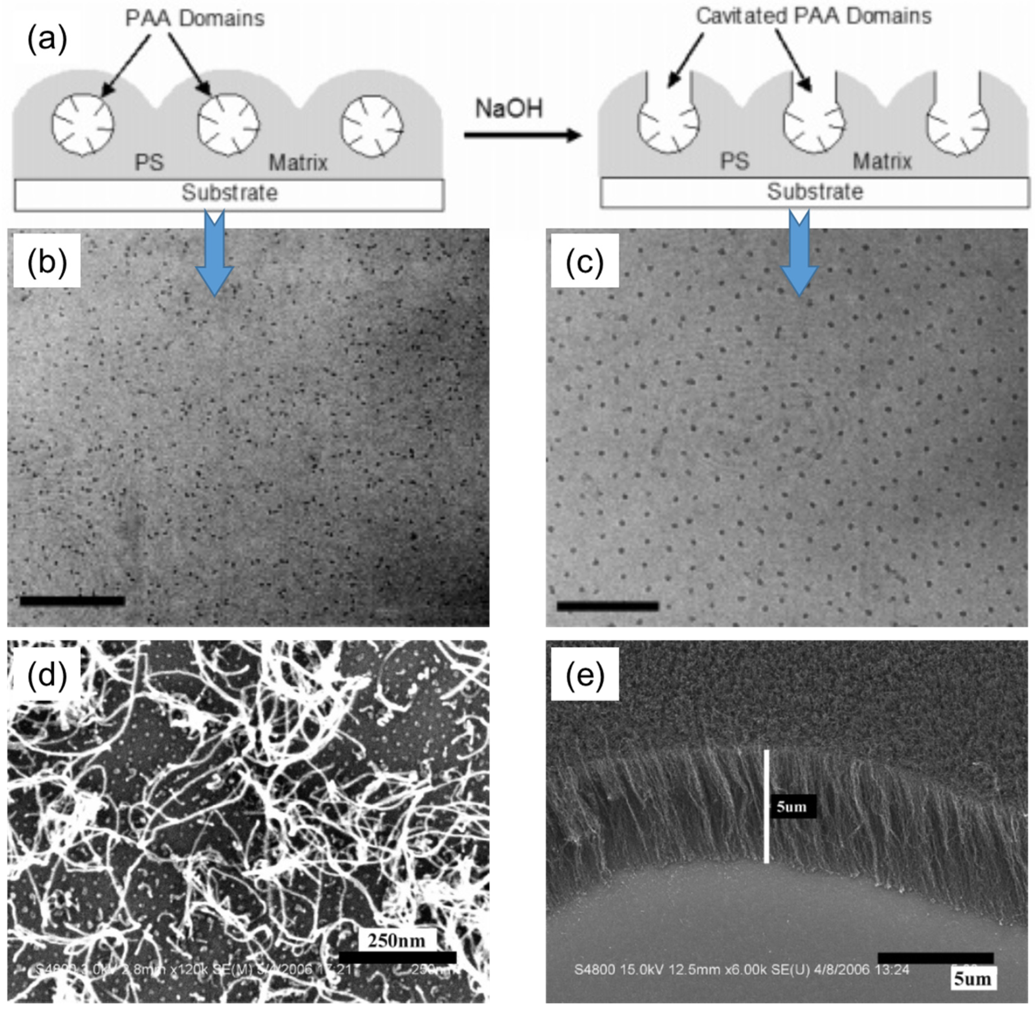 Membranes 11 00318 g002