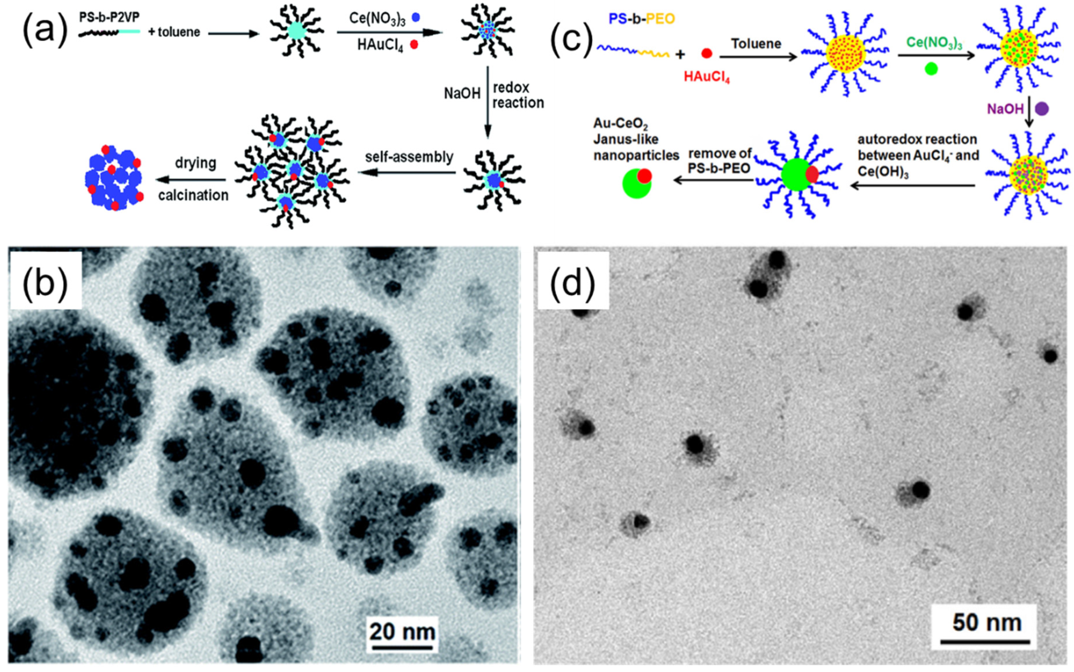 Membranes 11 00318 g006