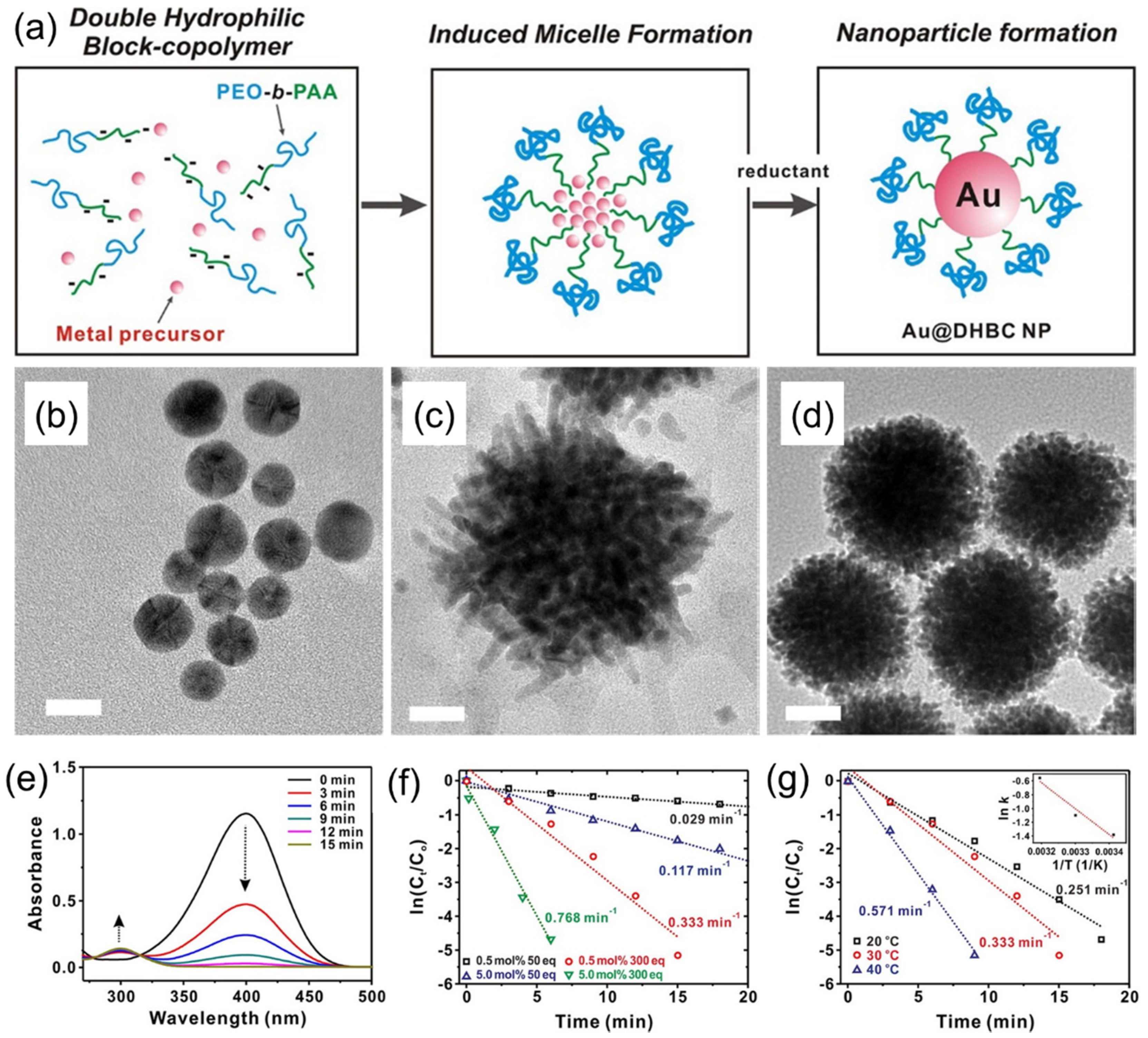 Membranes 11 00318 g007