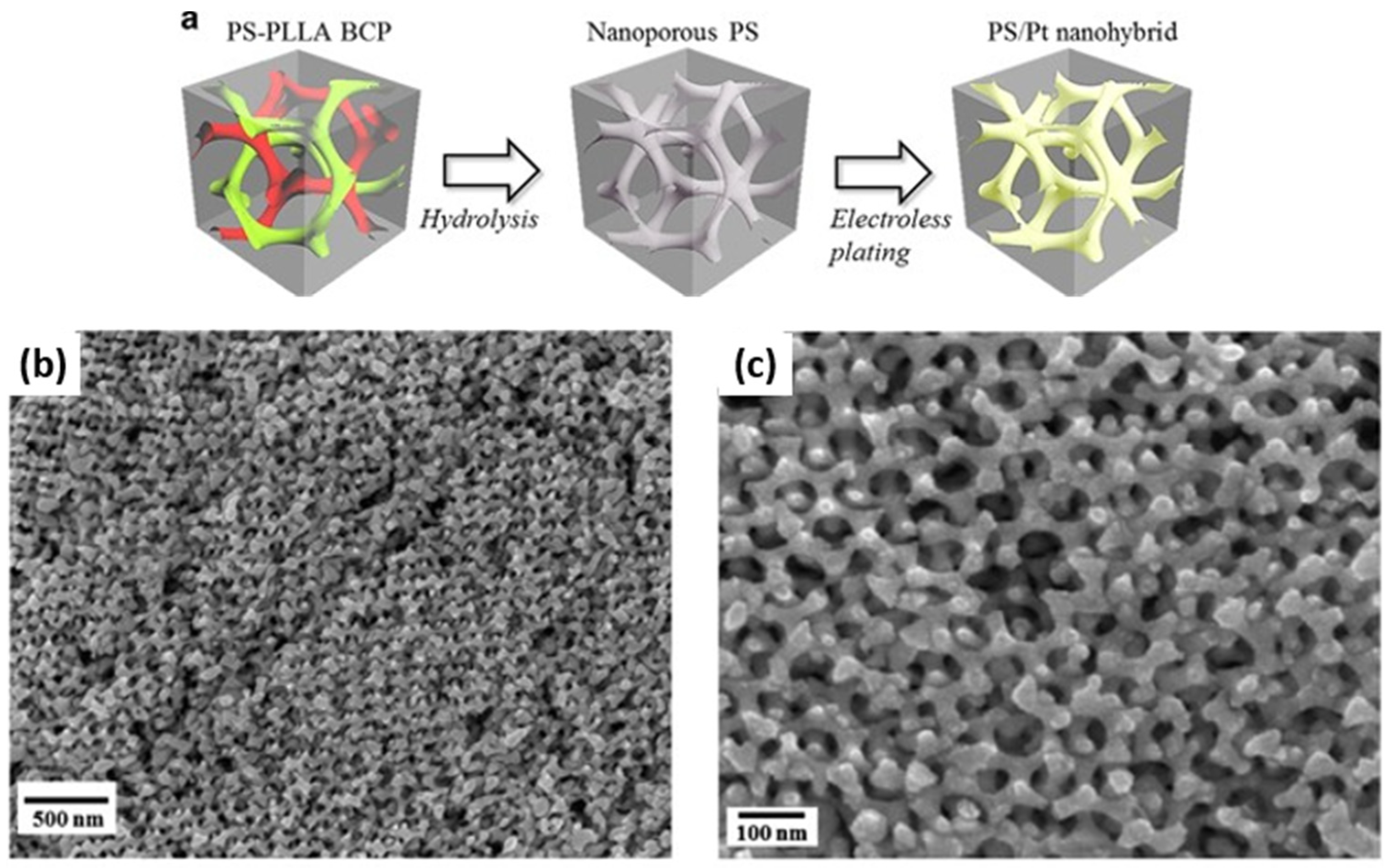 Membranes 11 00318 g015