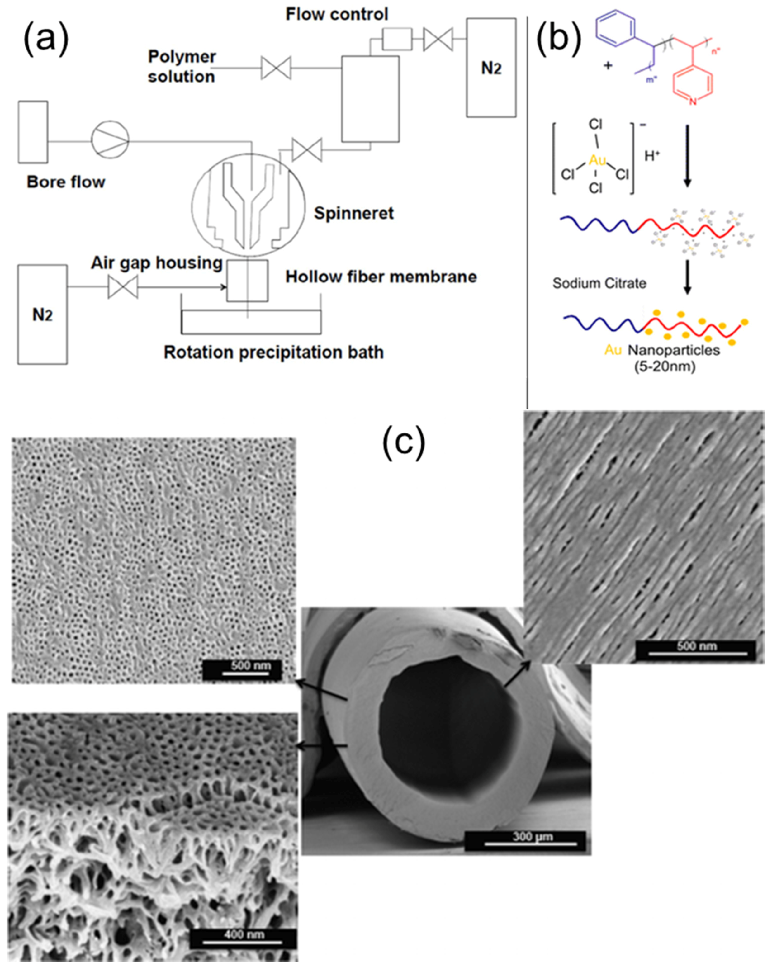 Membranes 11 00318 g018