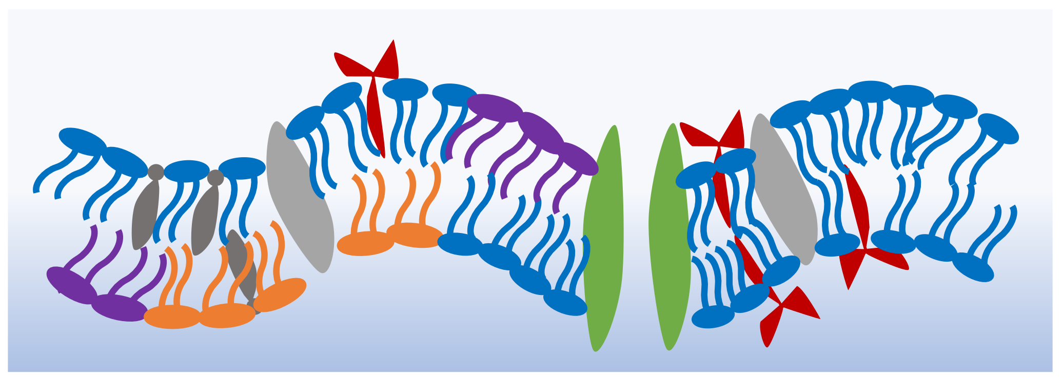 Membranes 11 00319 g001 Membranes 11 00319 g001
