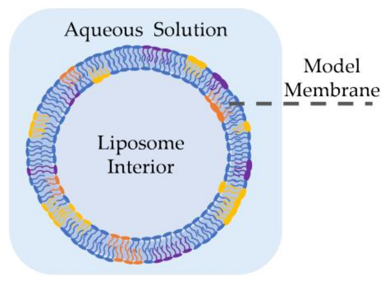 Membranes 11 00319 g002 Membranes 11 00319 g002