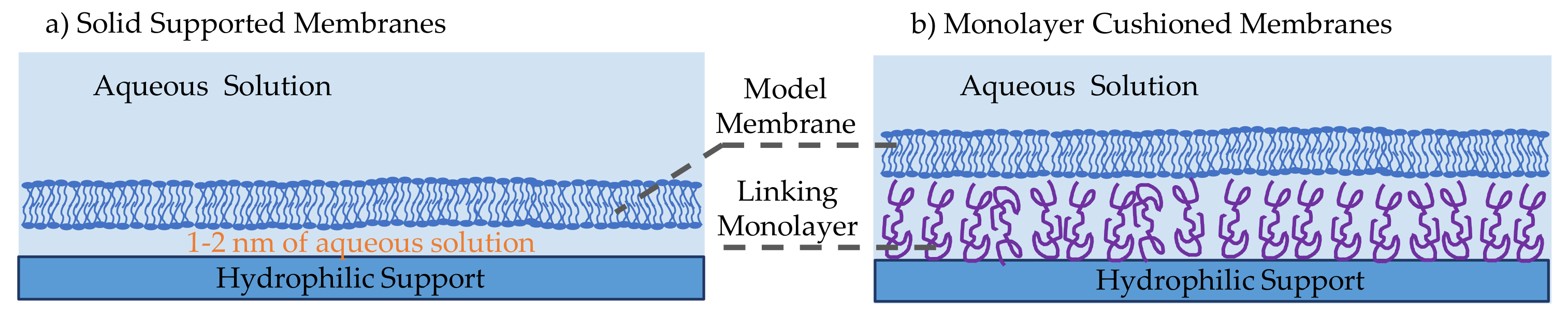 Membranes 11 00319 g004 Membranes 11 00319 g004