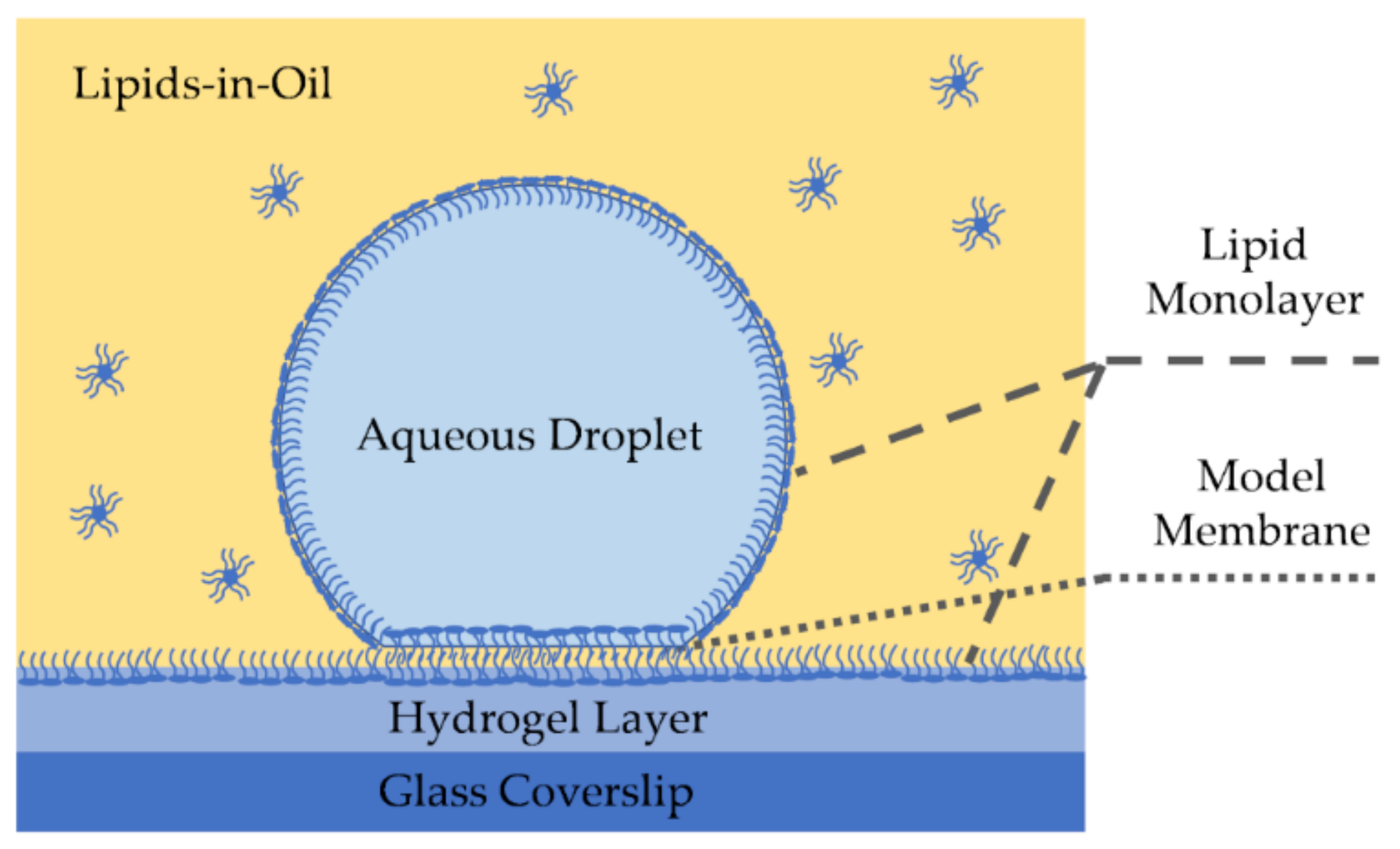 Membranes 11 00319 g005 Membranes 11 00319 g005