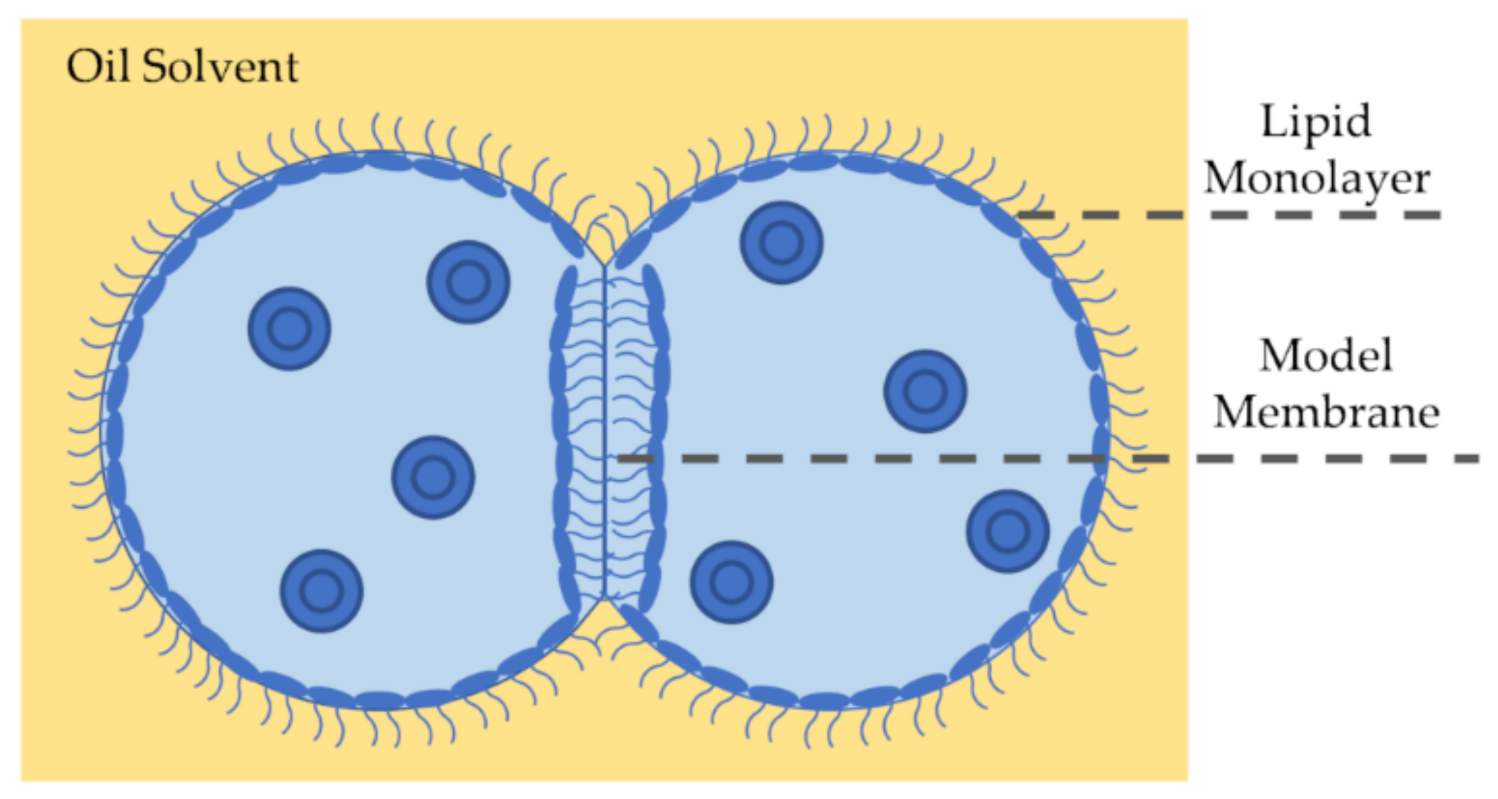 Membranes 11 00319 g006 Membranes 11 00319 g006