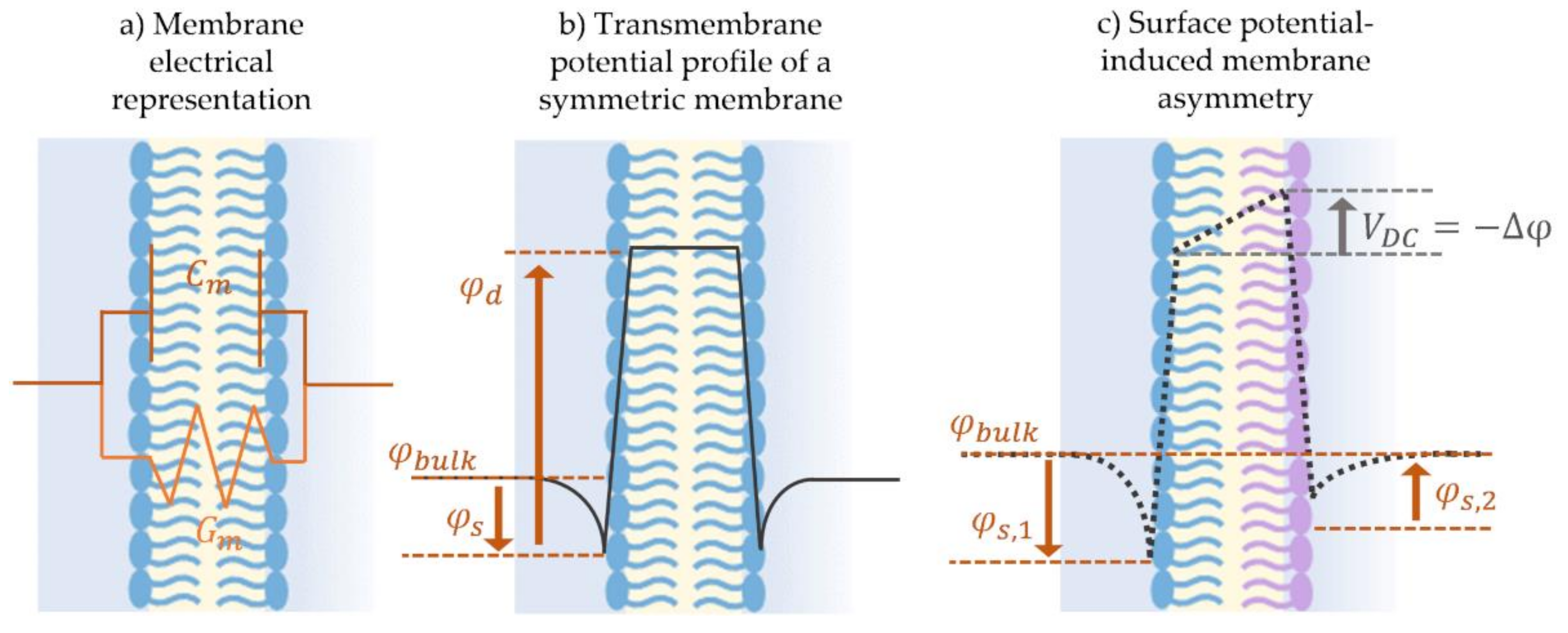 Membranes 11 00319 g007 Membranes 11 00319 g007