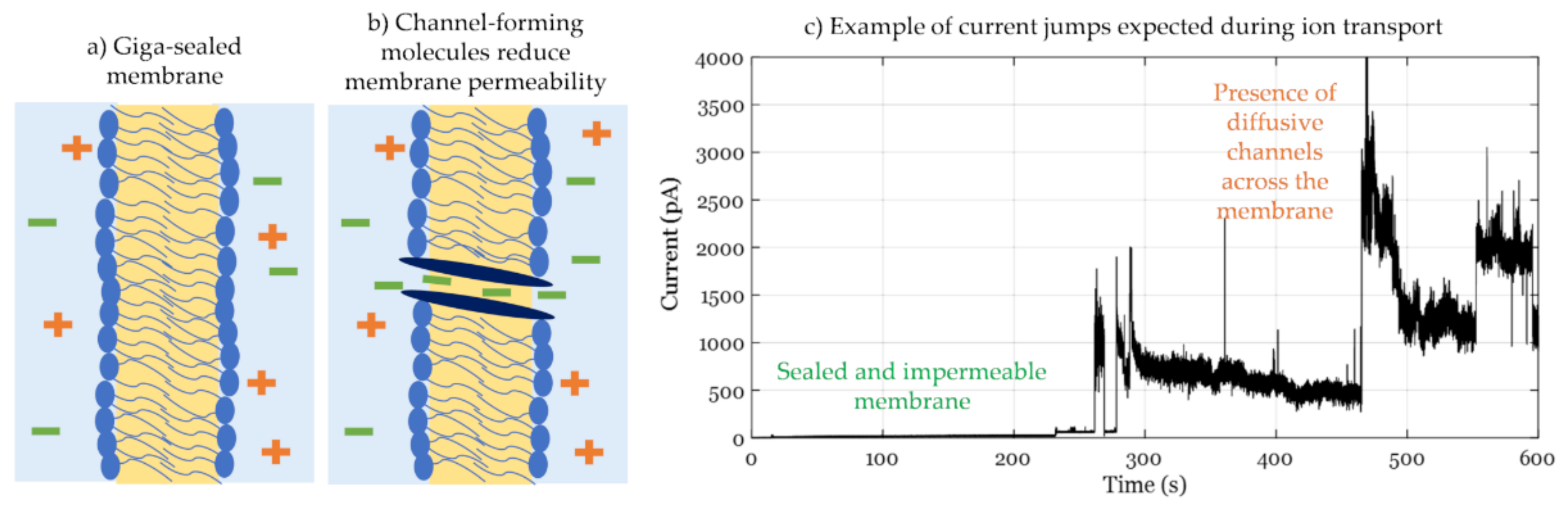 Membranes 11 00319 g008 Membranes 11 00319 g008