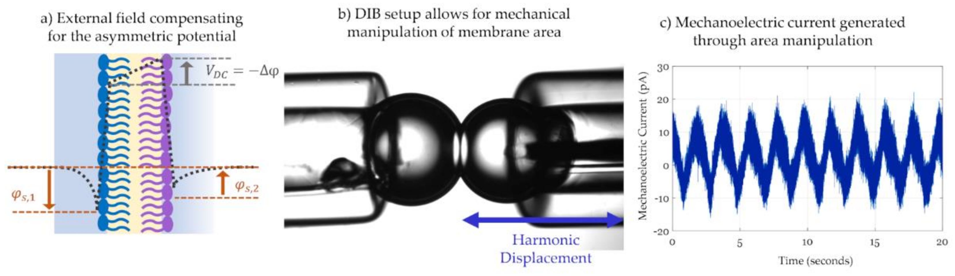 Membranes 11 00319 g010 Membranes 11 00319 g010