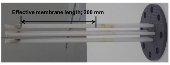 Membranes 11 00326 i001
