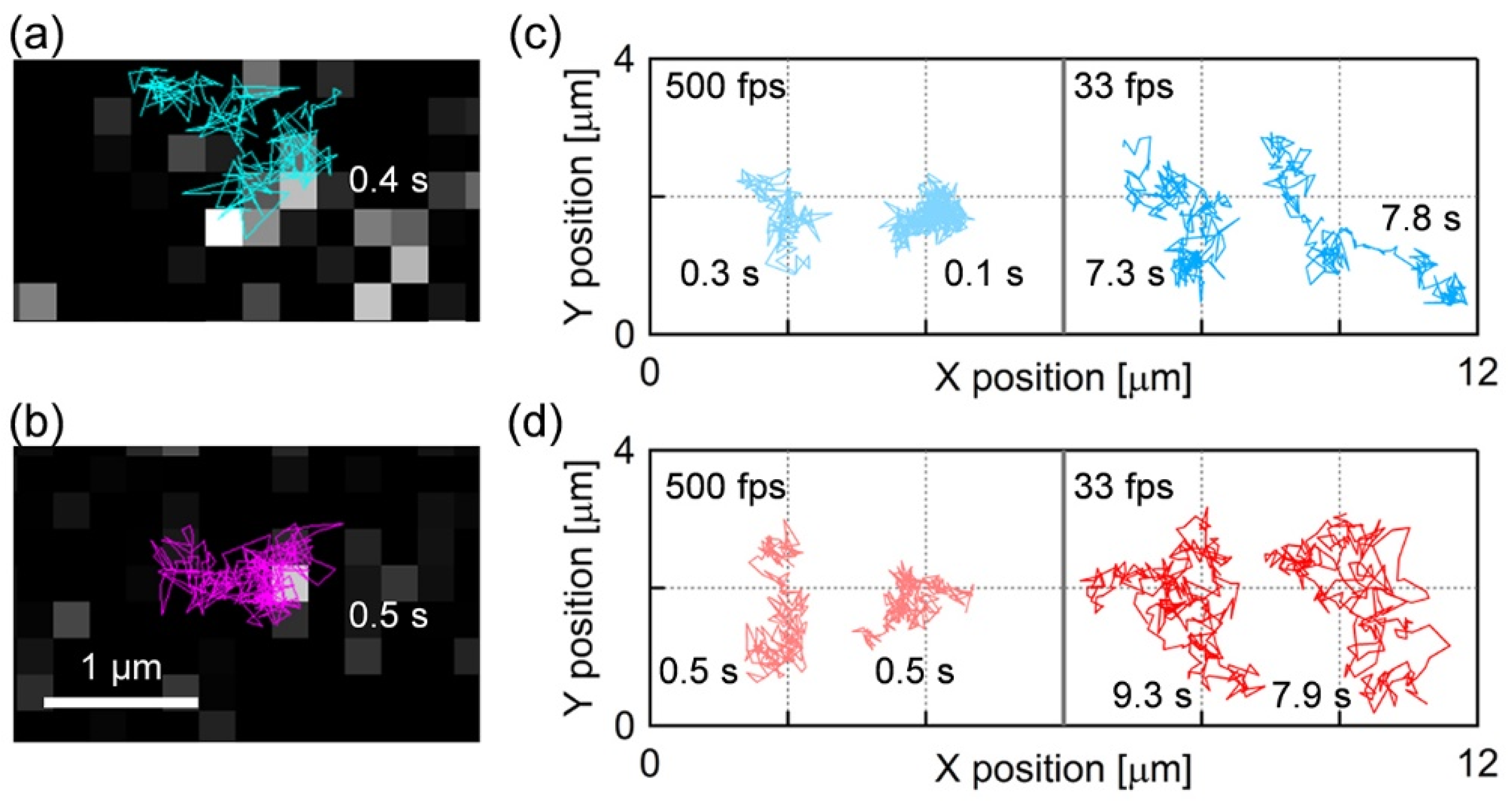 Membranes 11 00339 g002