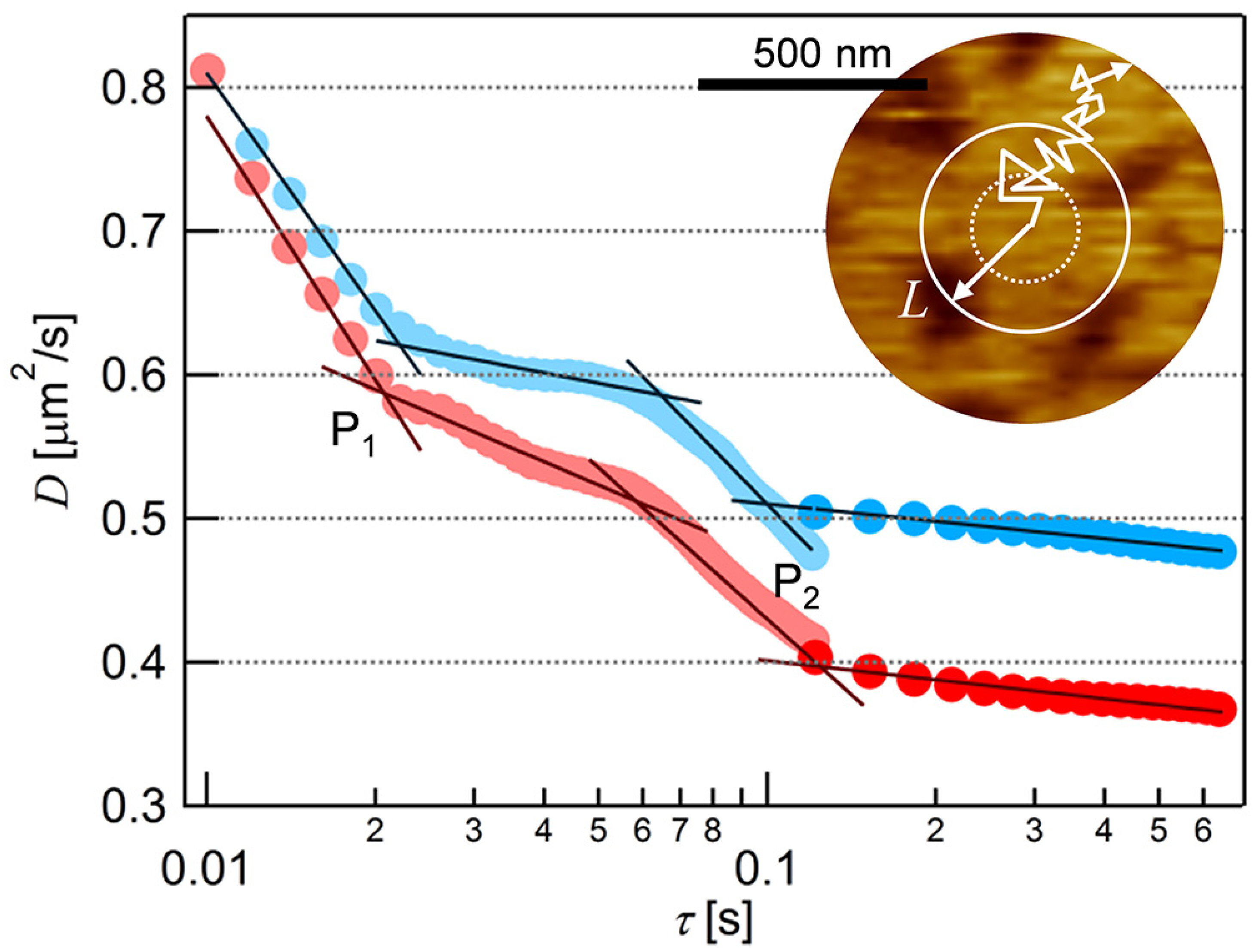Membranes 11 00339 g004