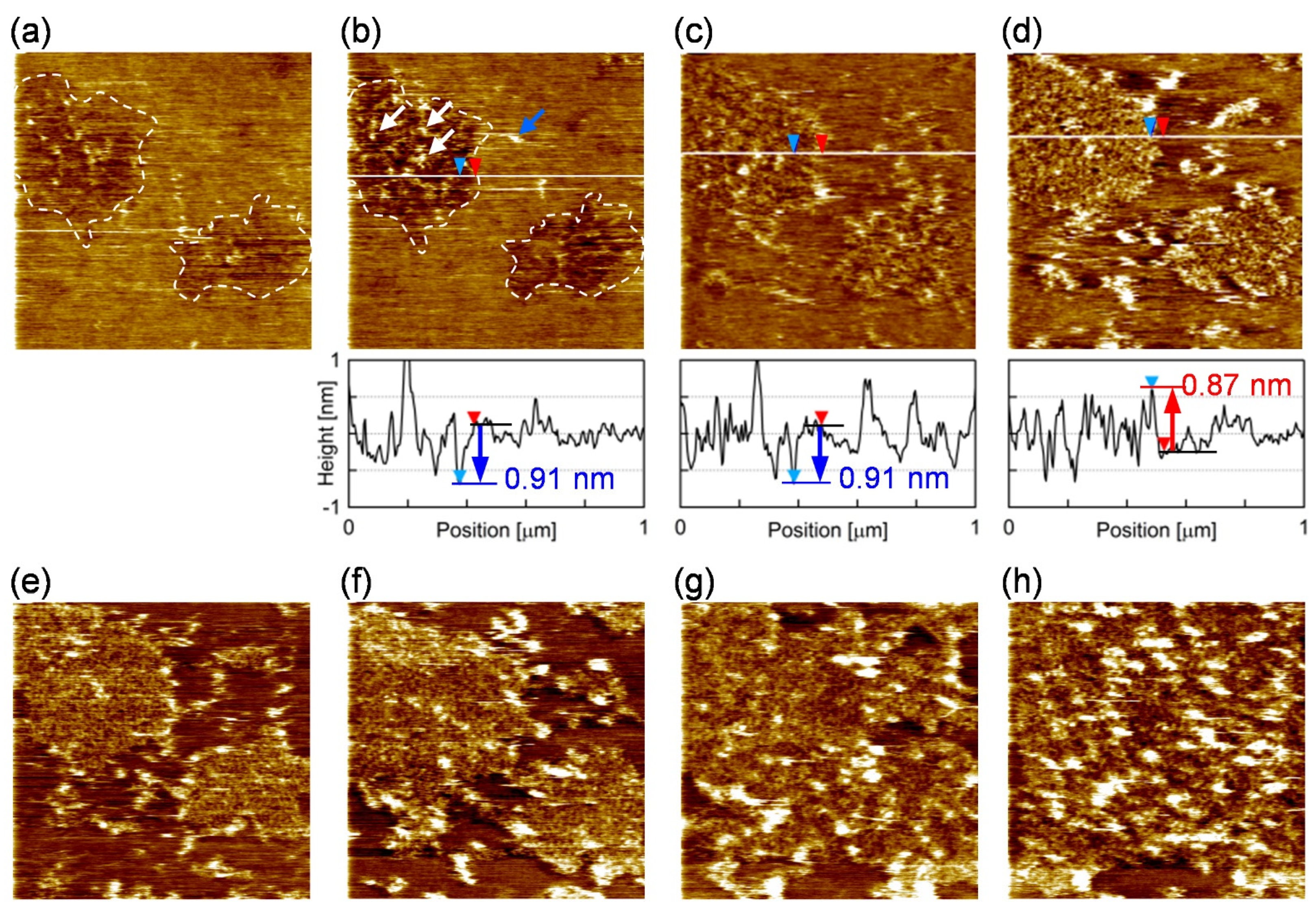 Membranes 11 00339 g005
