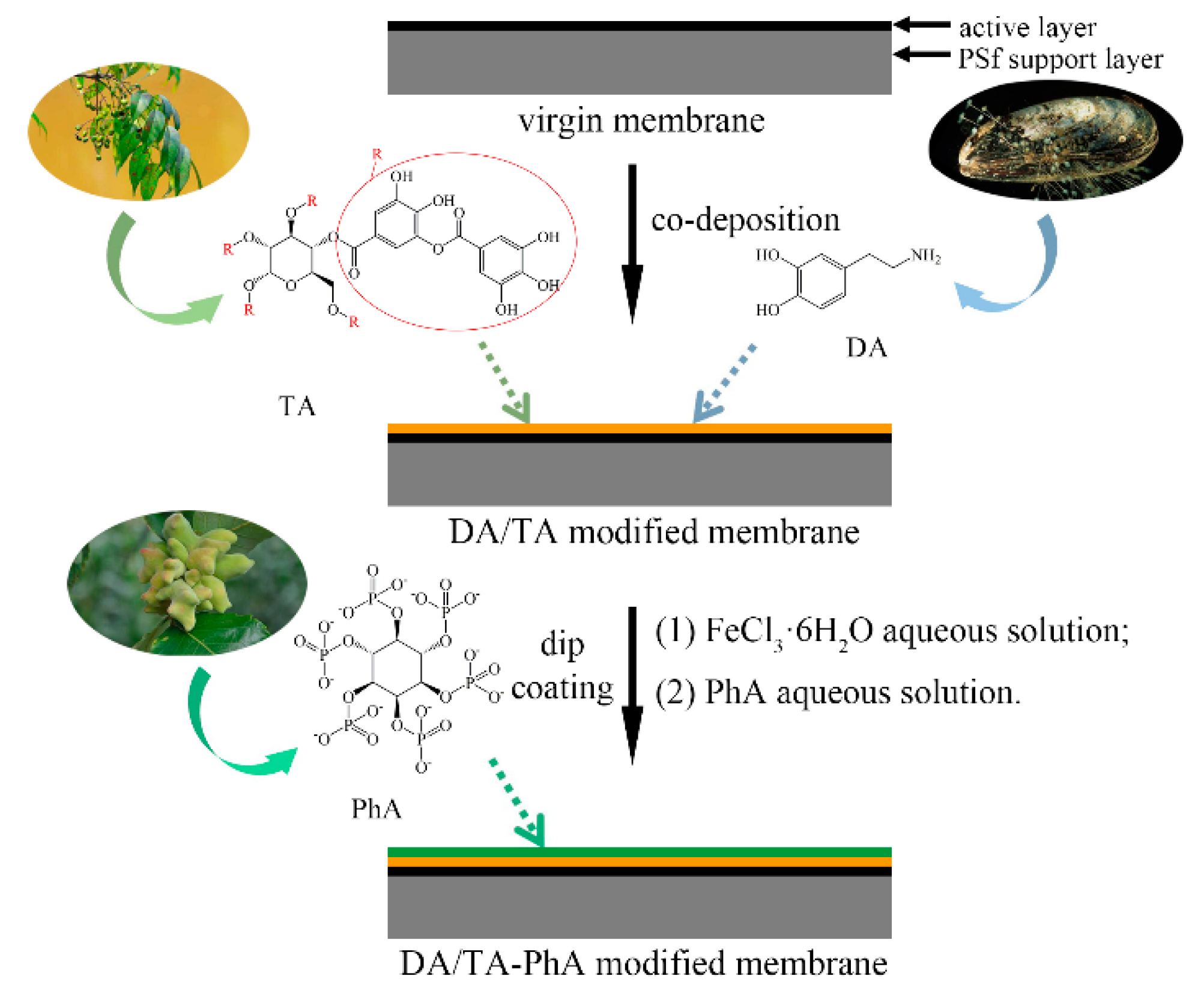 Membranes 11 00342 sch001 Membranes 11 00342 sch001