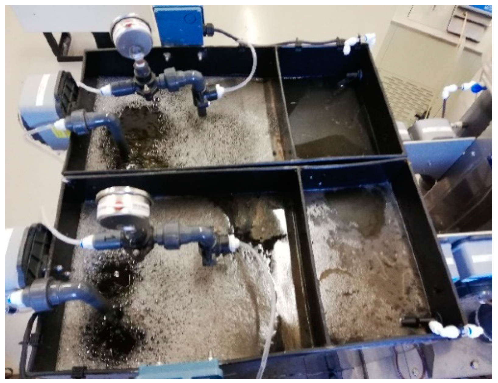 Membranes 11 00345 g005 Membranes 11 00345 g005