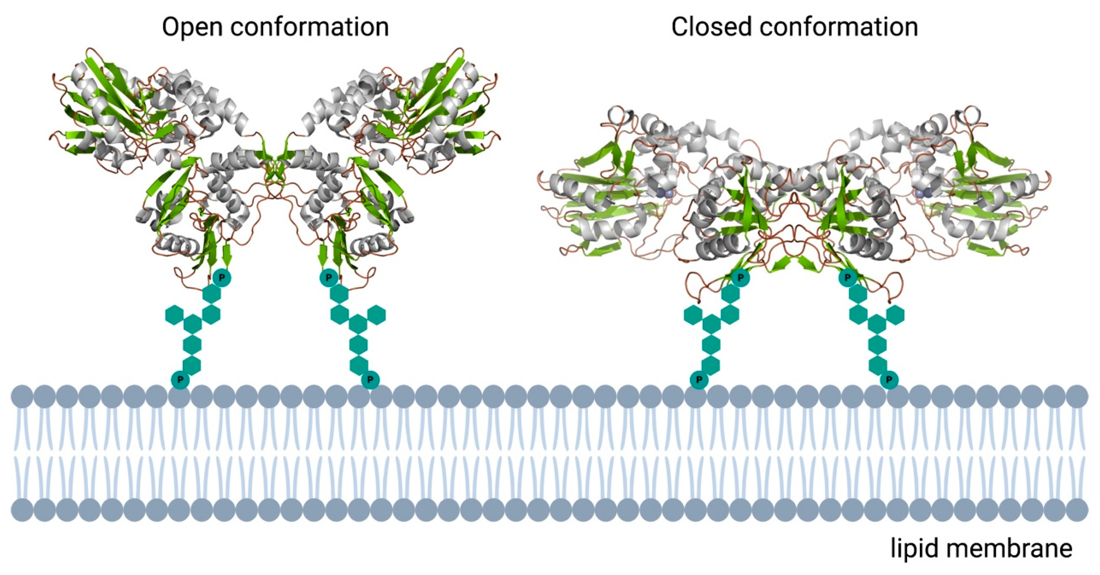 Membranes 11 00346 g005 Membranes 11 00346 g005