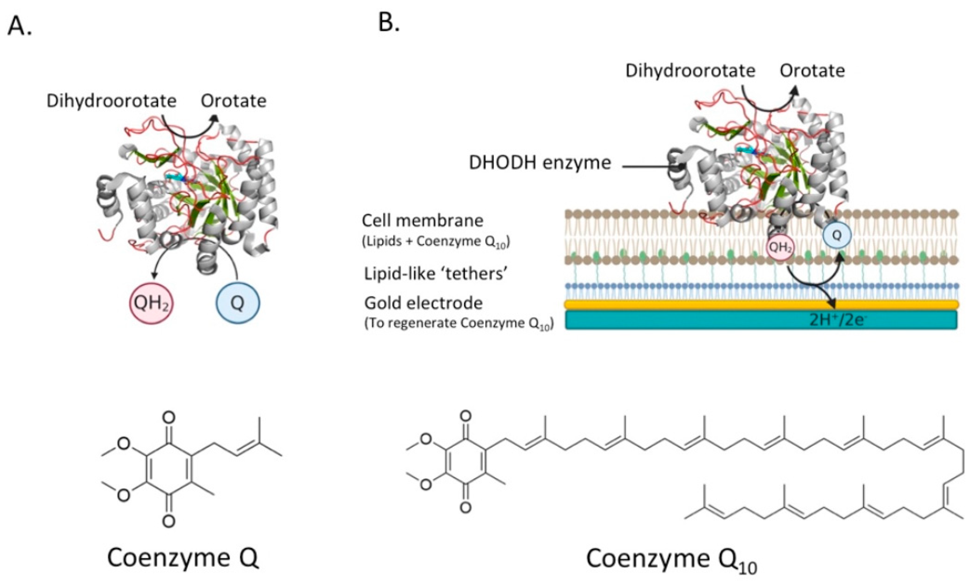 Membranes 11 00346 g008 Membranes 11 00346 g008