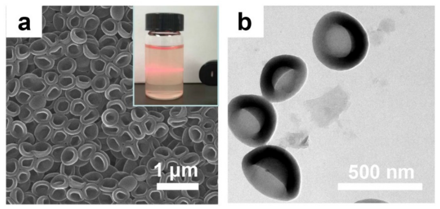 Membranes 11 00350 g001
