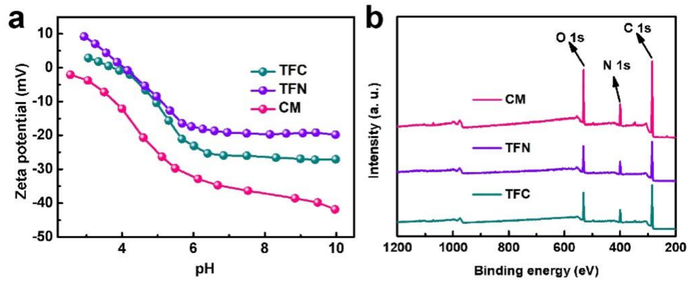 Membranes 11 00350 g003