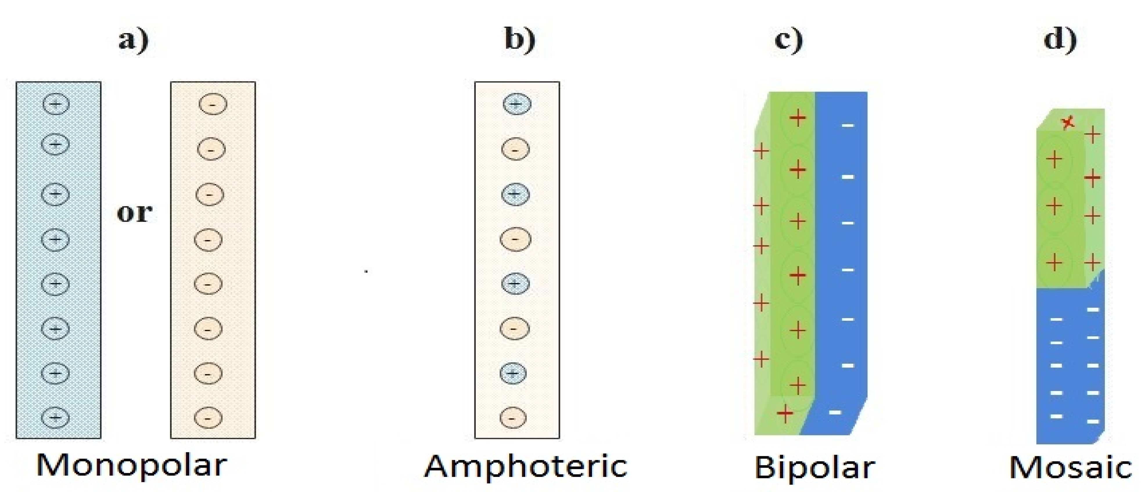 Membranes 11 00358 g001