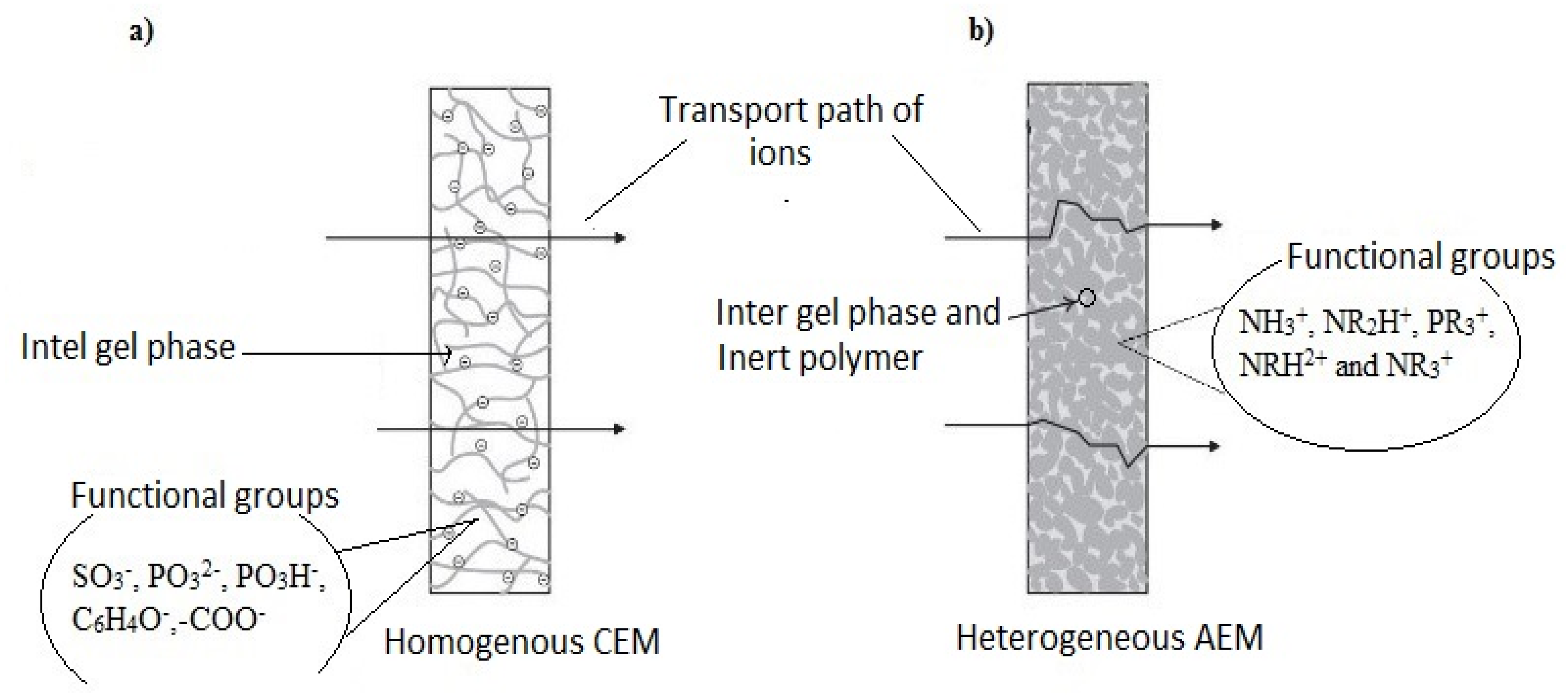 Membranes 11 00358 g002
