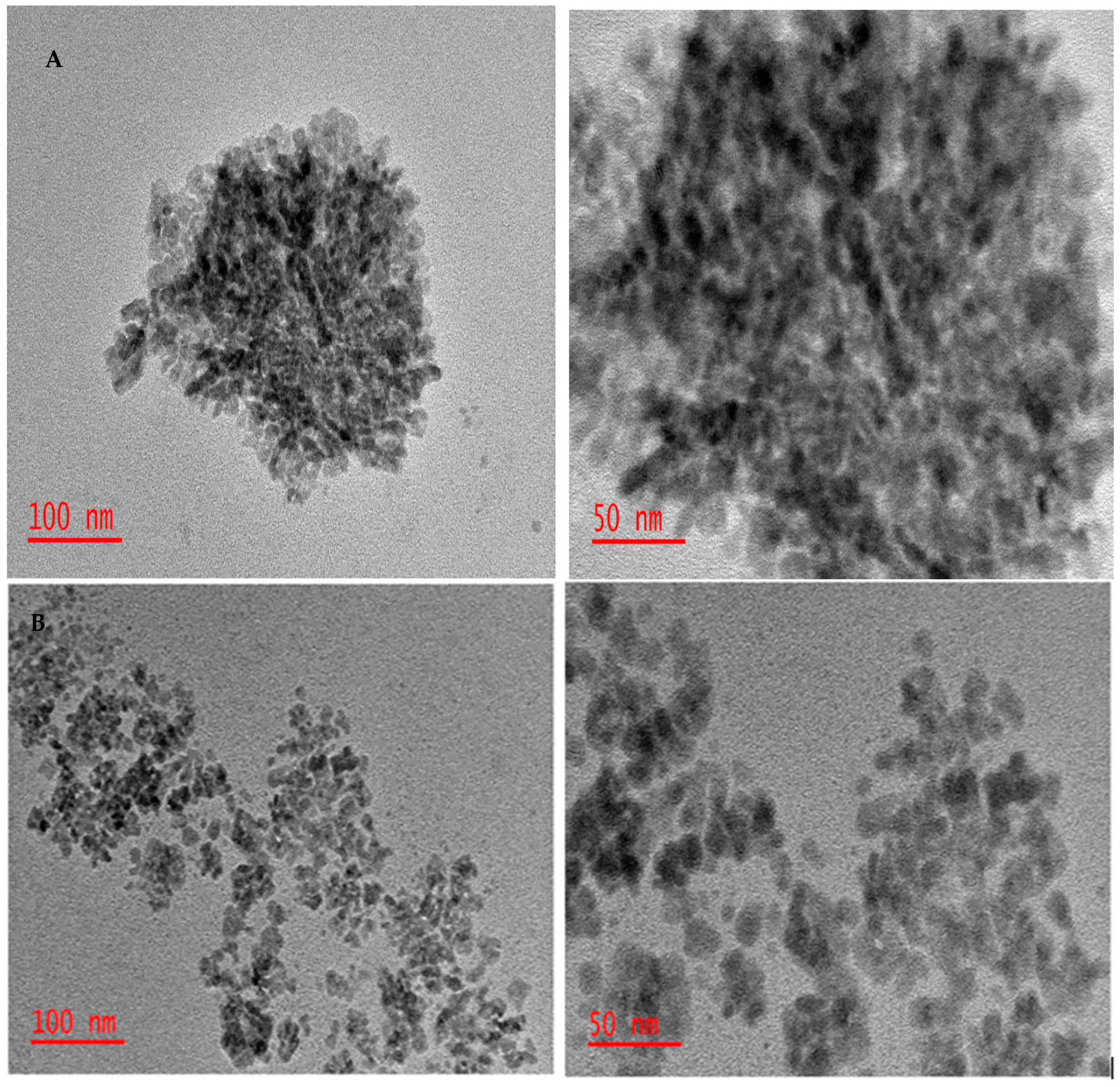 Membranes 11 00361 g001