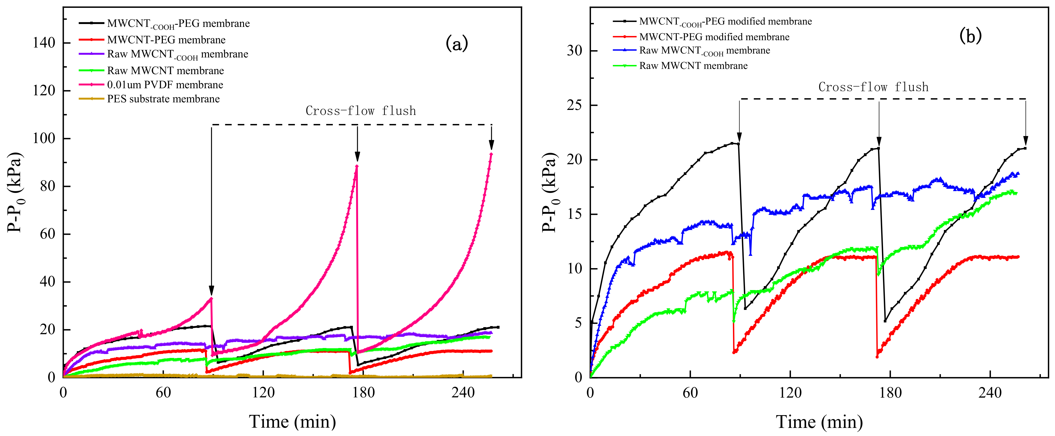 Membranes 11 00362 g011 Membranes 11 00362 g011