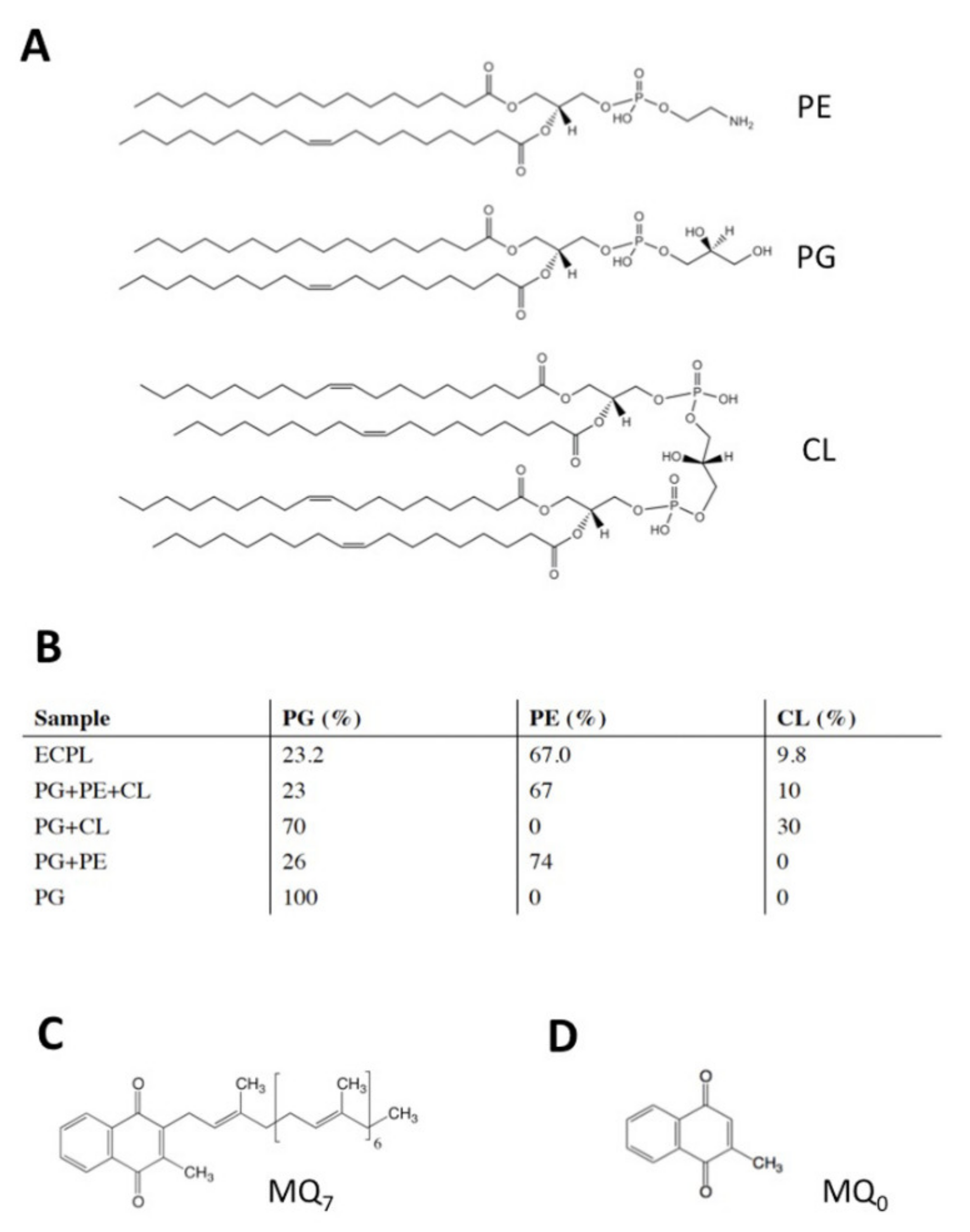 Membranes 11 00363 g001