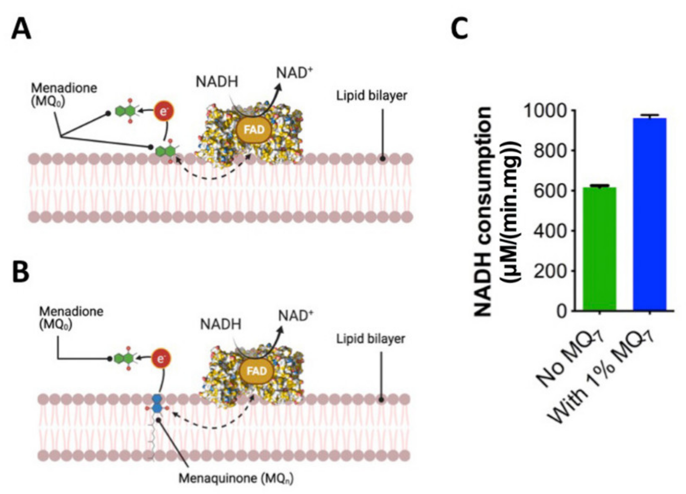 Membranes 11 00363 g002