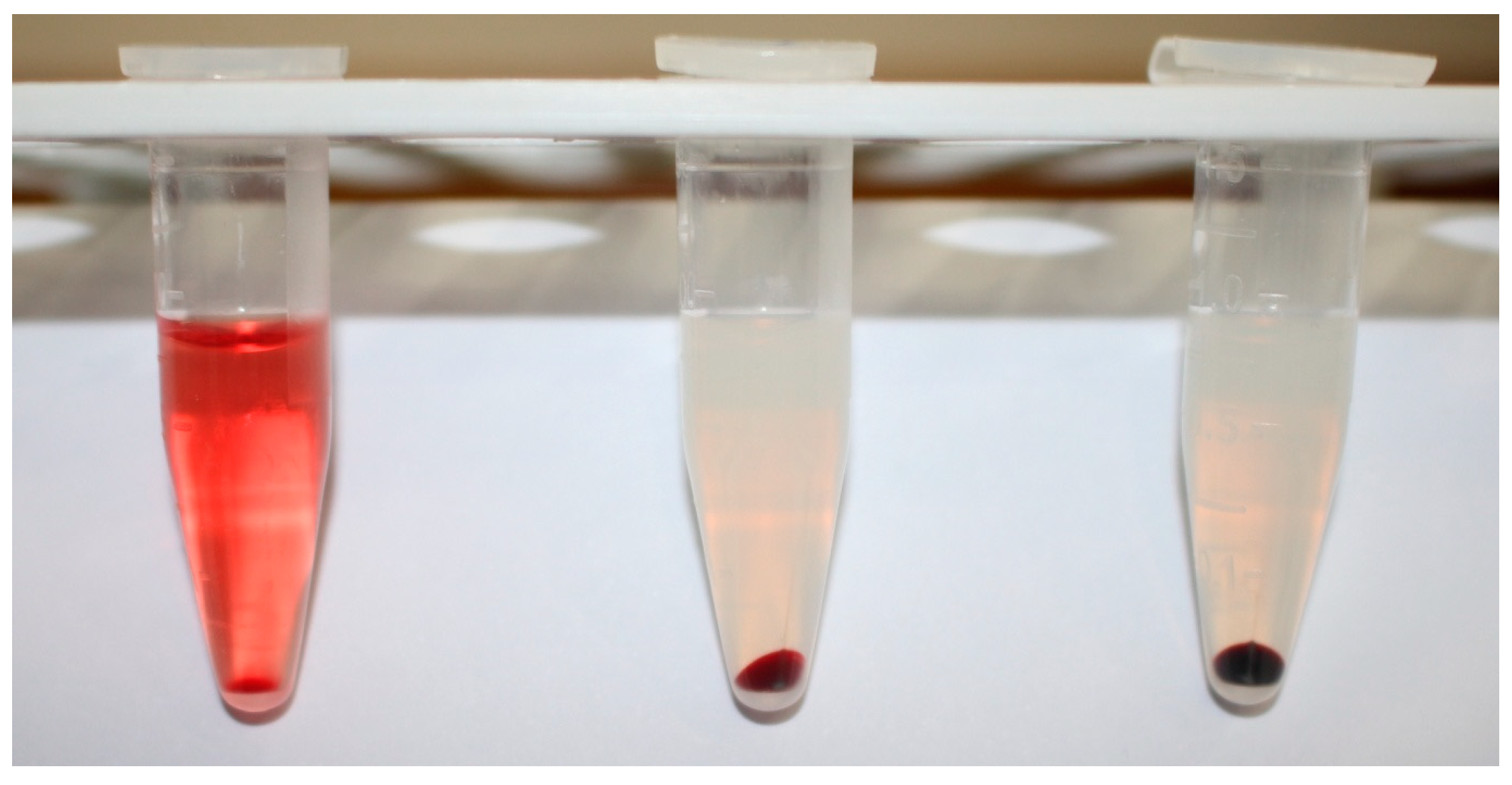 Membranes 11 00364 g001
