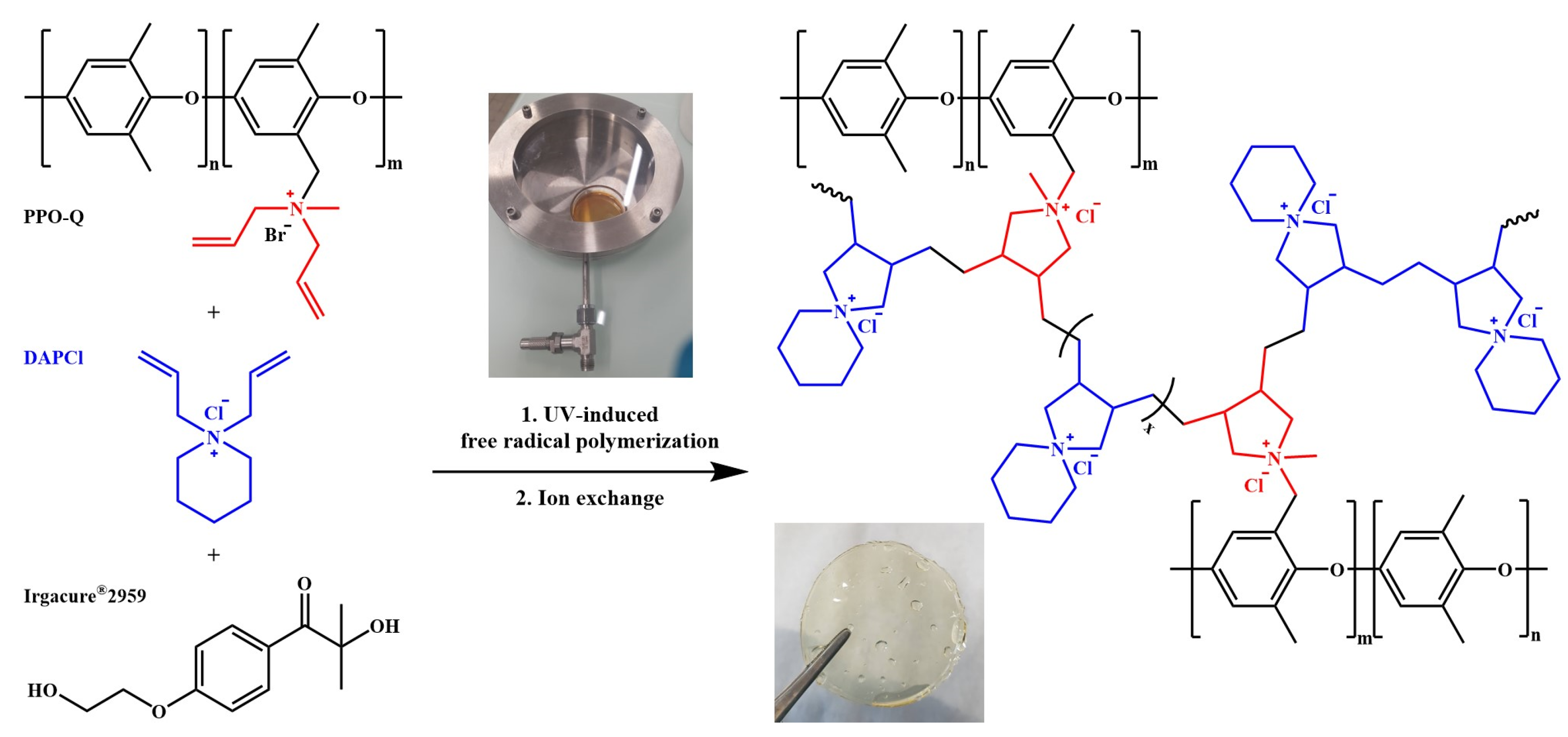 Membranes Free FullText Study of Anion Exchange Membrane