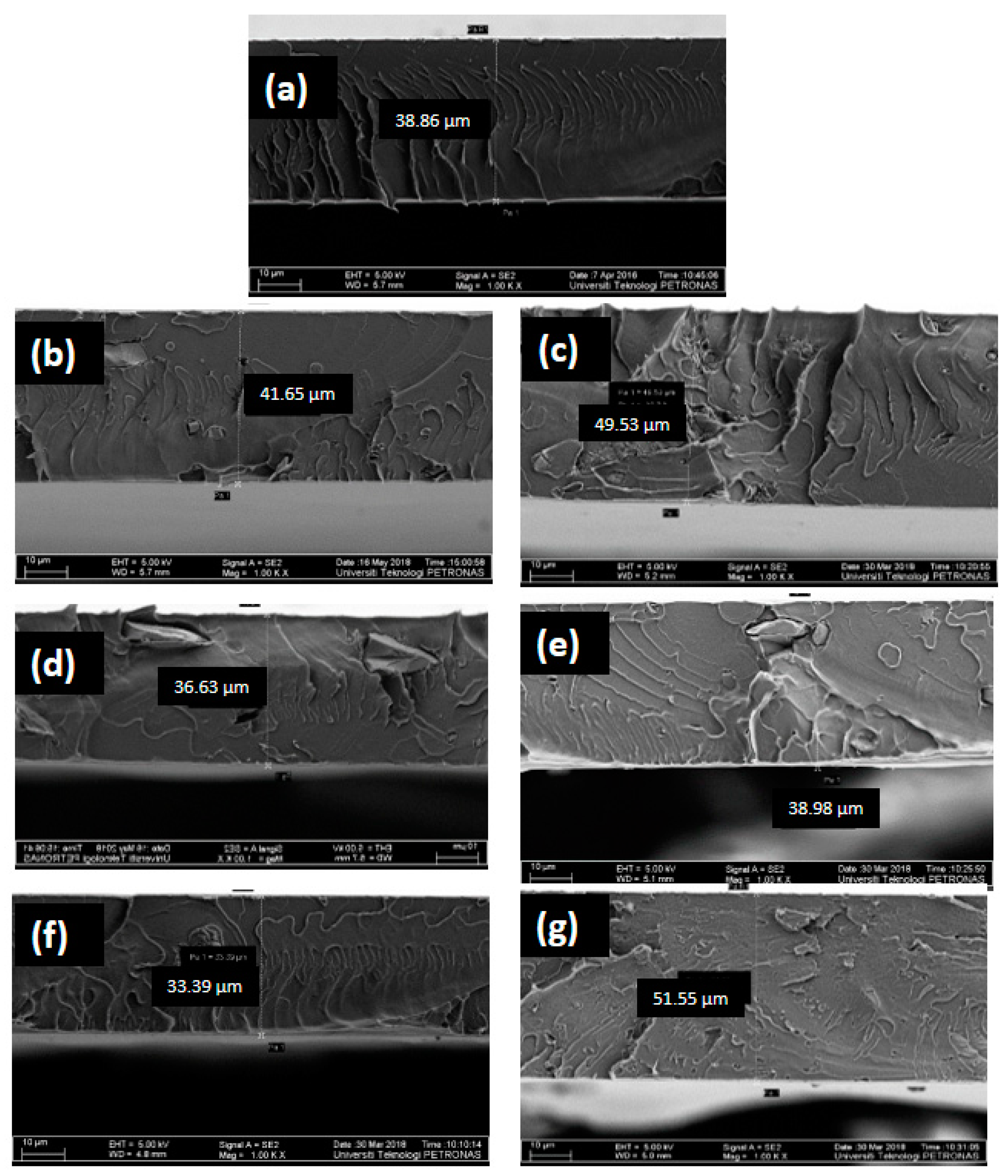 Membranes 11 00371 g003 Membranes 11 00371 g003