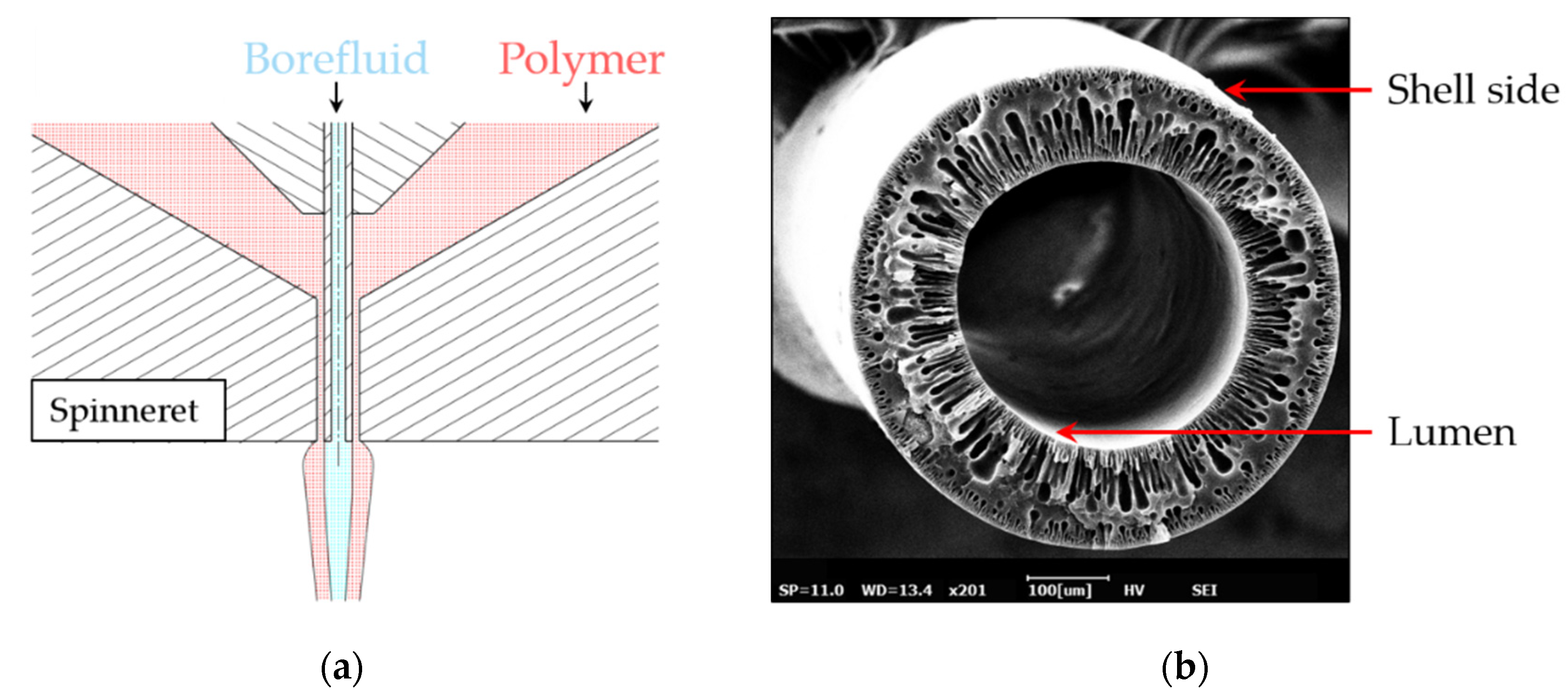 Membranes 11 00374 g001 Membranes 11 00374 g001