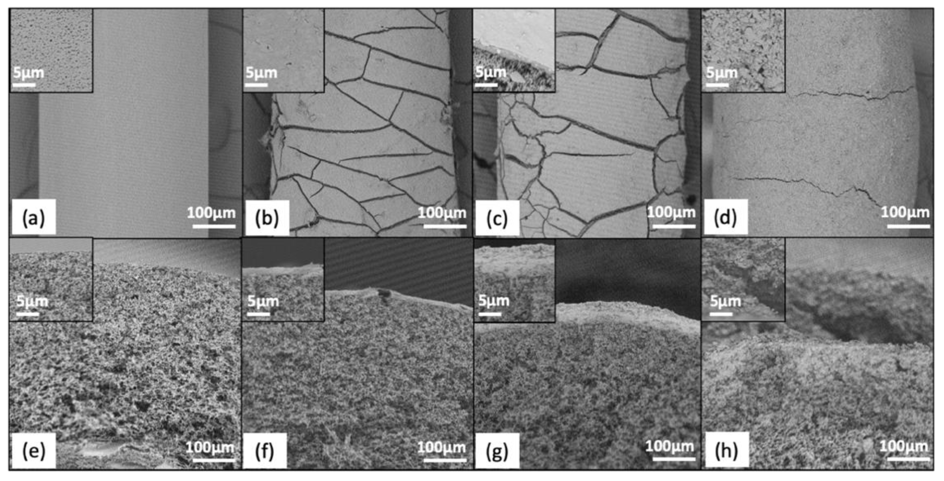 Membranes 11 00375 g002