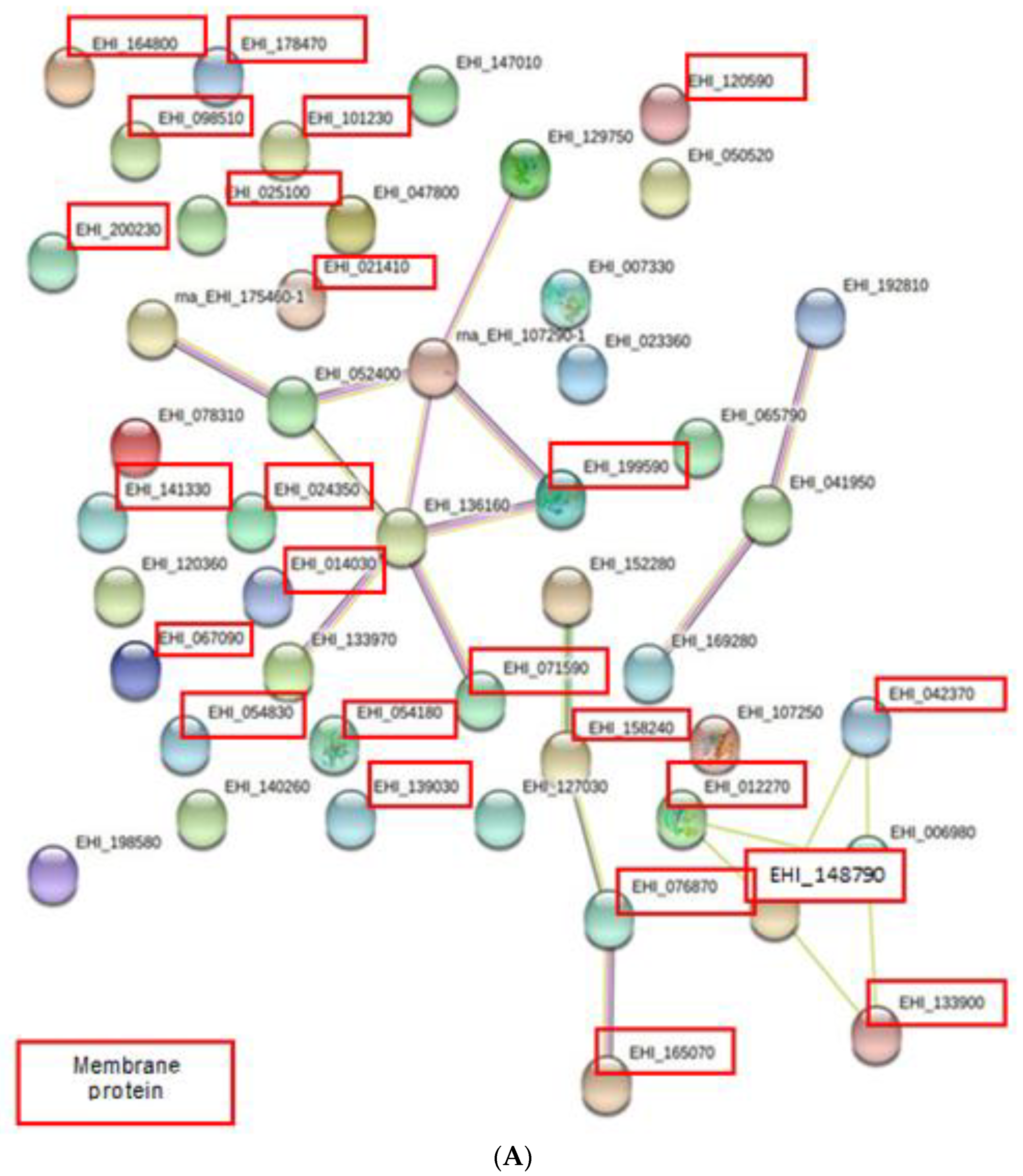 Membranes 11 00376 g004a Membranes 11 00376 g004a