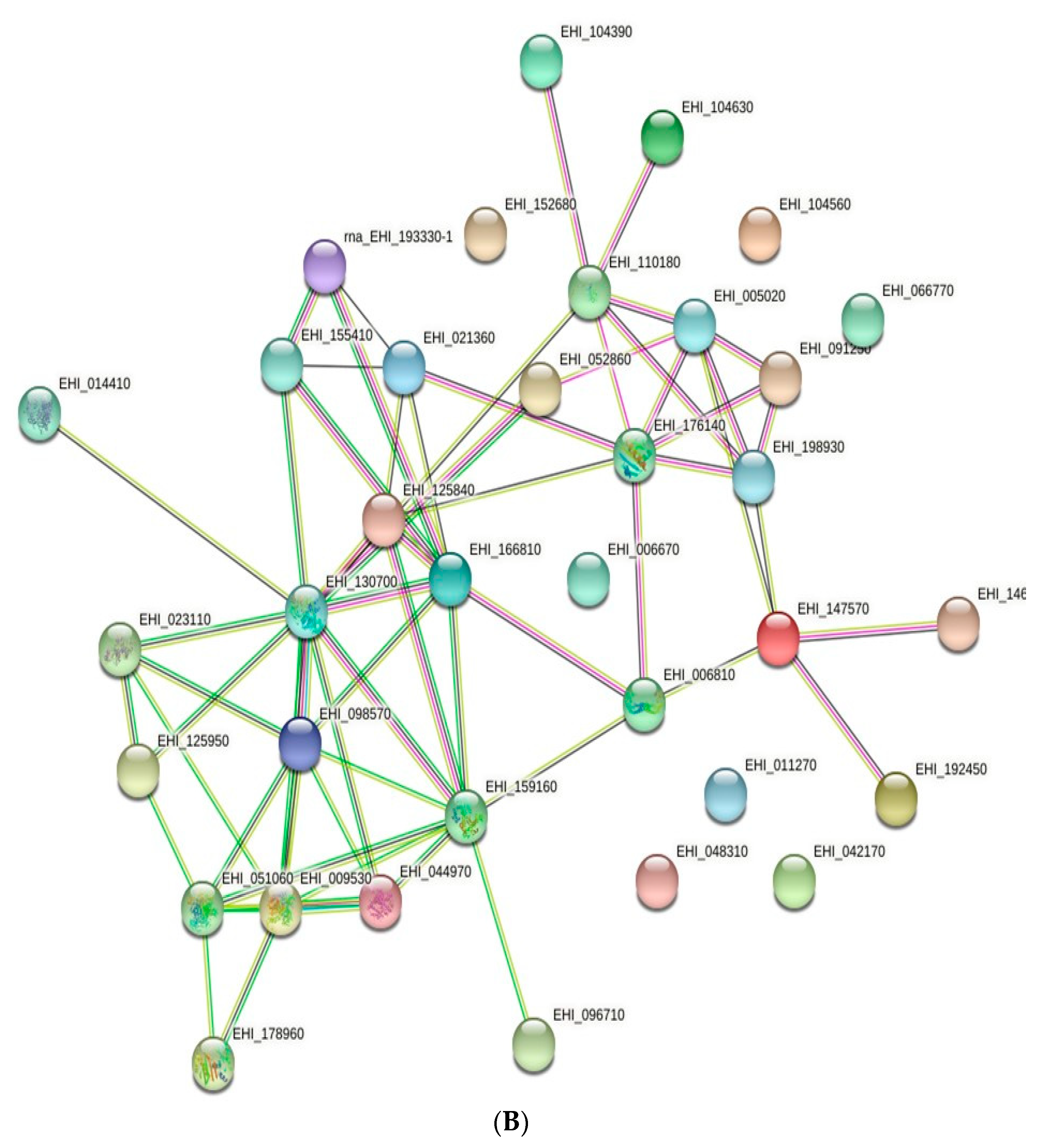 Membranes 11 00376 g004b Membranes 11 00376 g004b