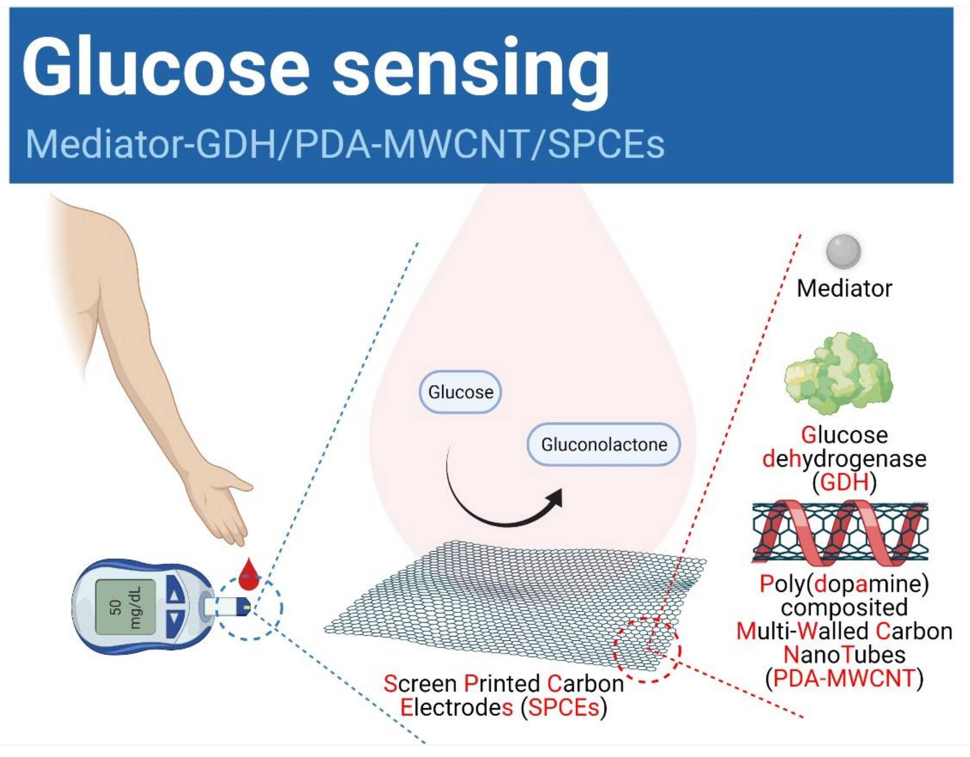 Membranes 11 00384 sch001 Membranes 11 00384 sch001