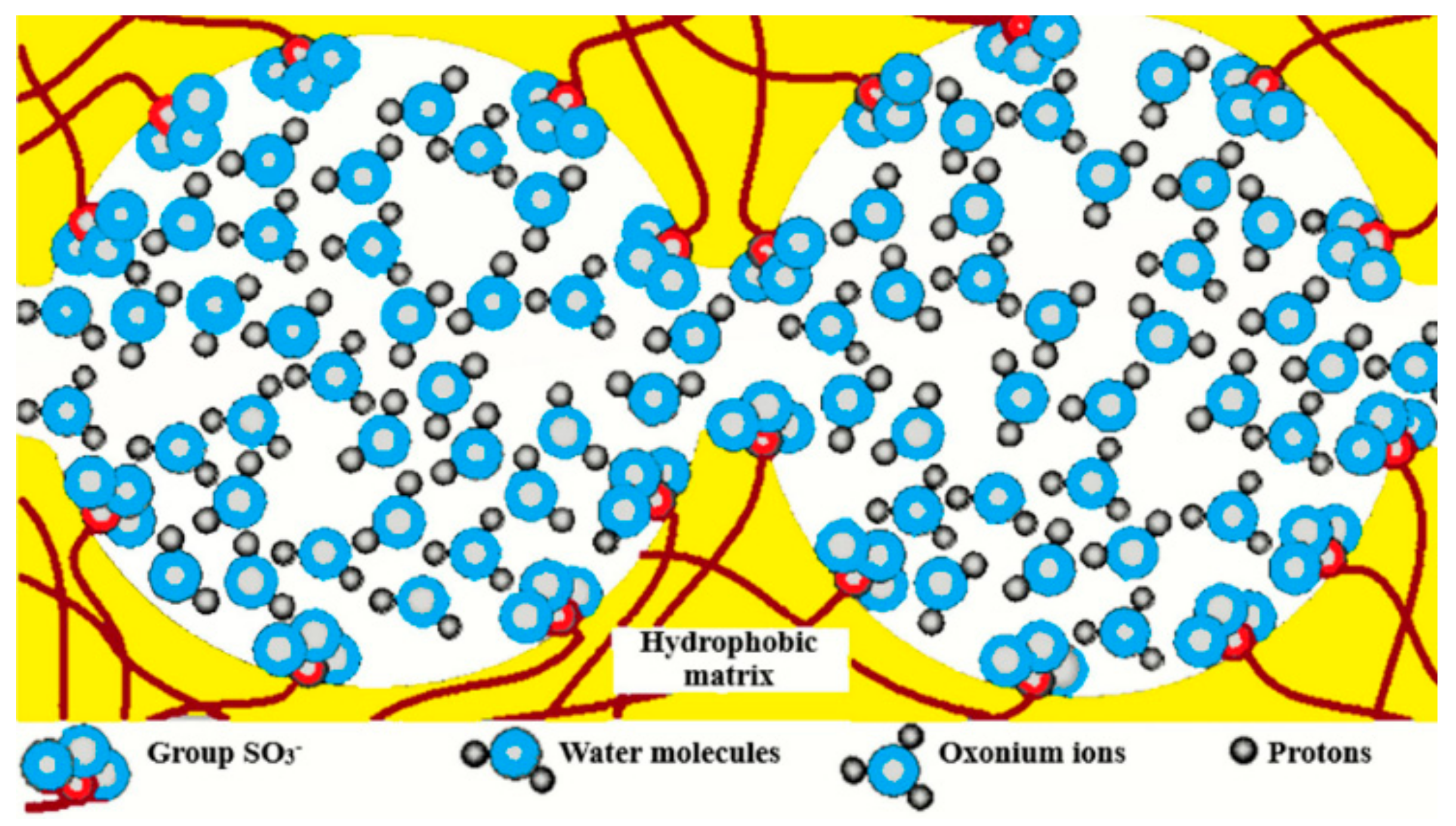 Membranes 11 00385 g001