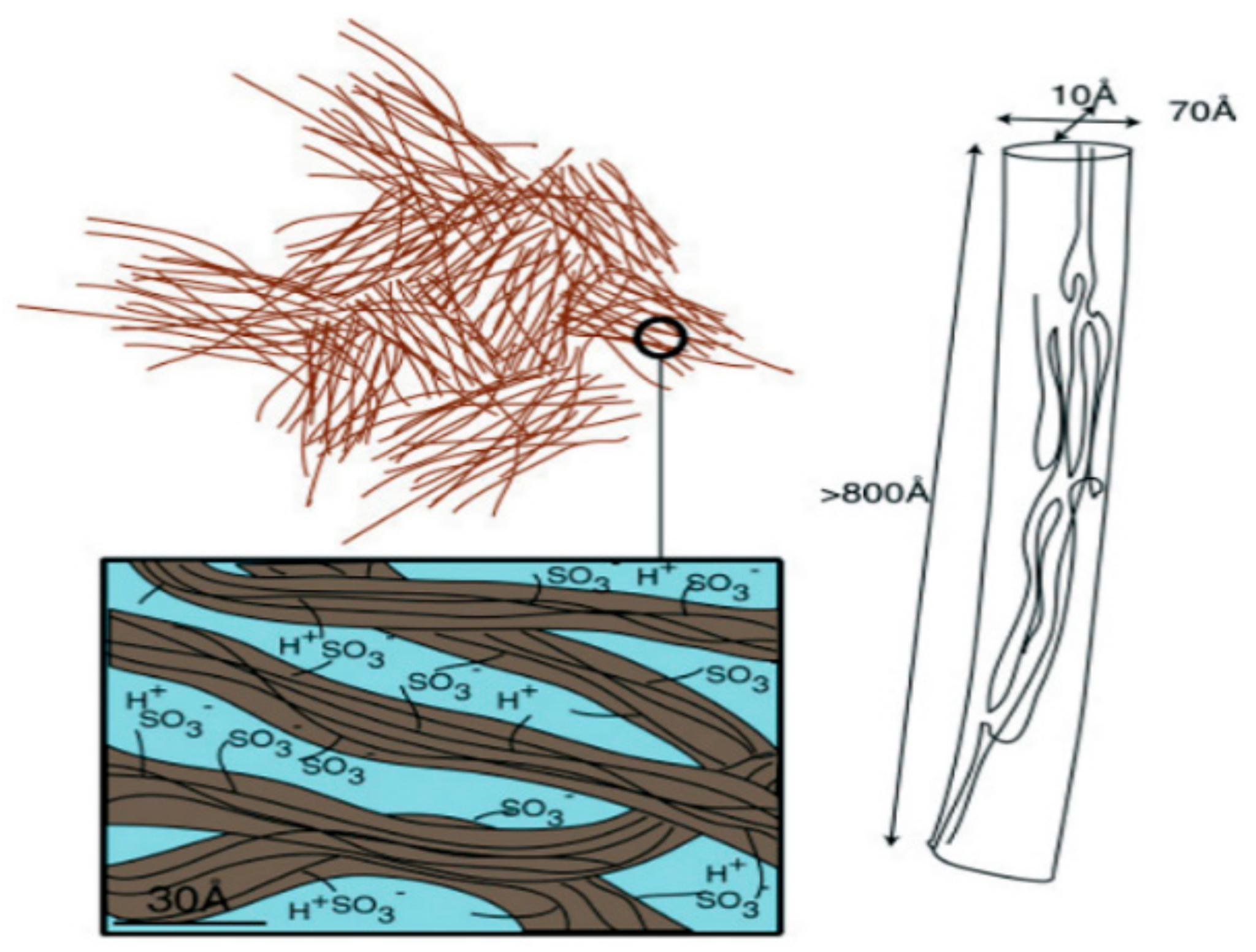 Membranes 11 00385 g002
