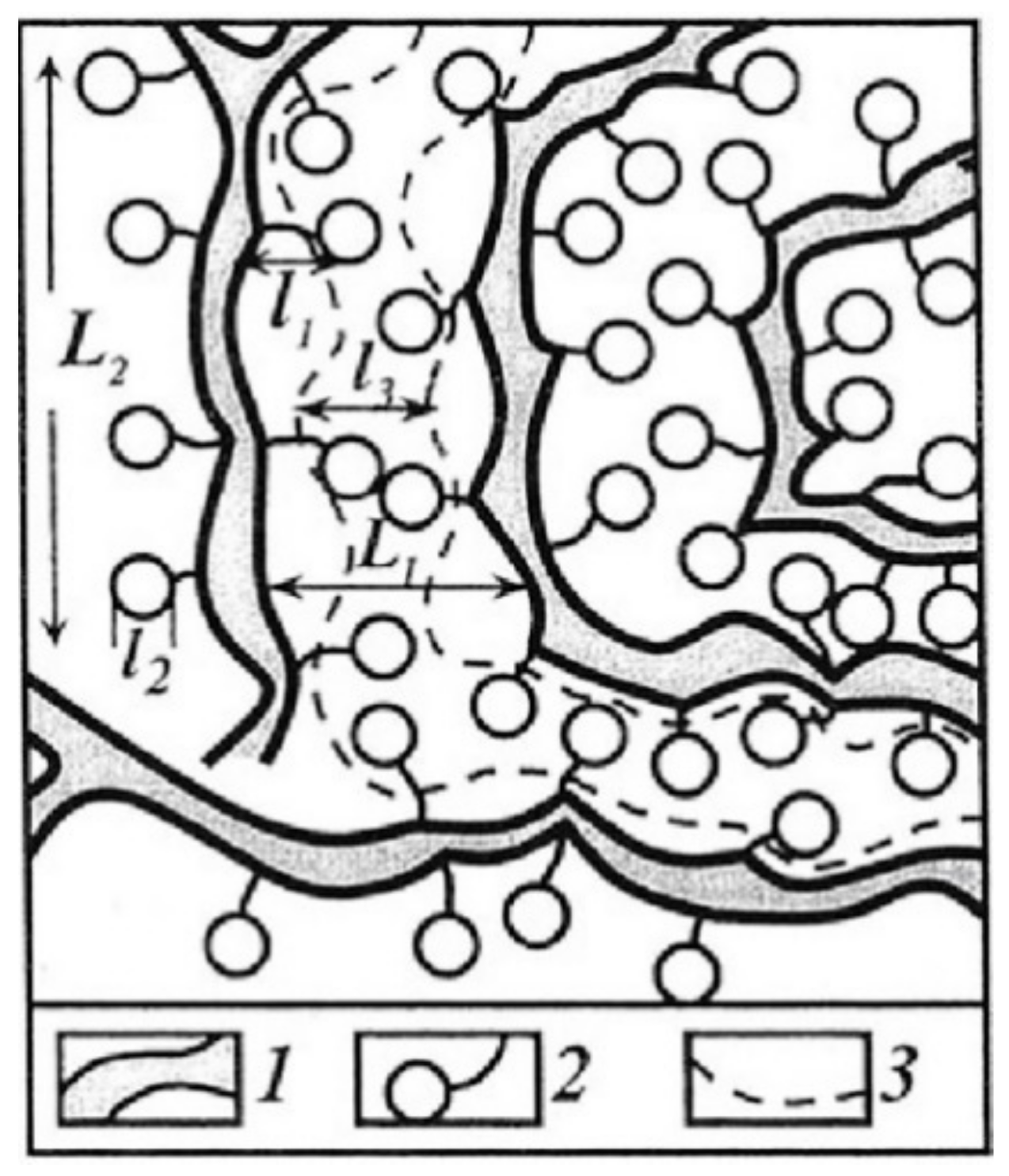 Membranes 11 00385 g003
